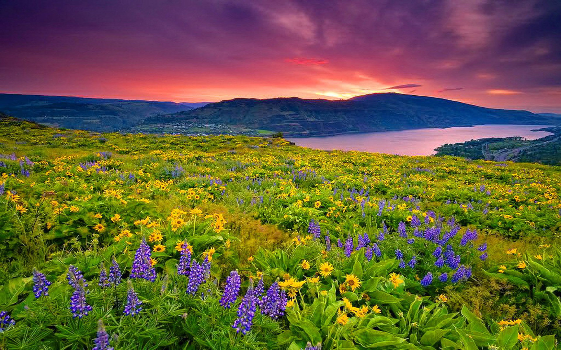 Landscape Nature Yellow And Blue Flowers Meadow Lake Mountain Sky With Clouds Red Wallpaper High Resolution 2k