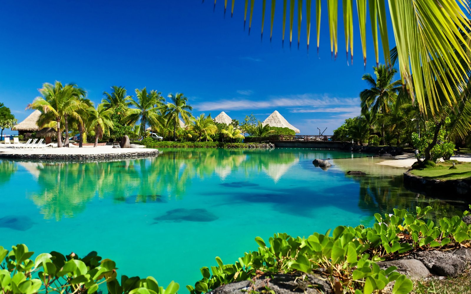 Tropical paradise palm trees sea ocean beach sunshine 2k