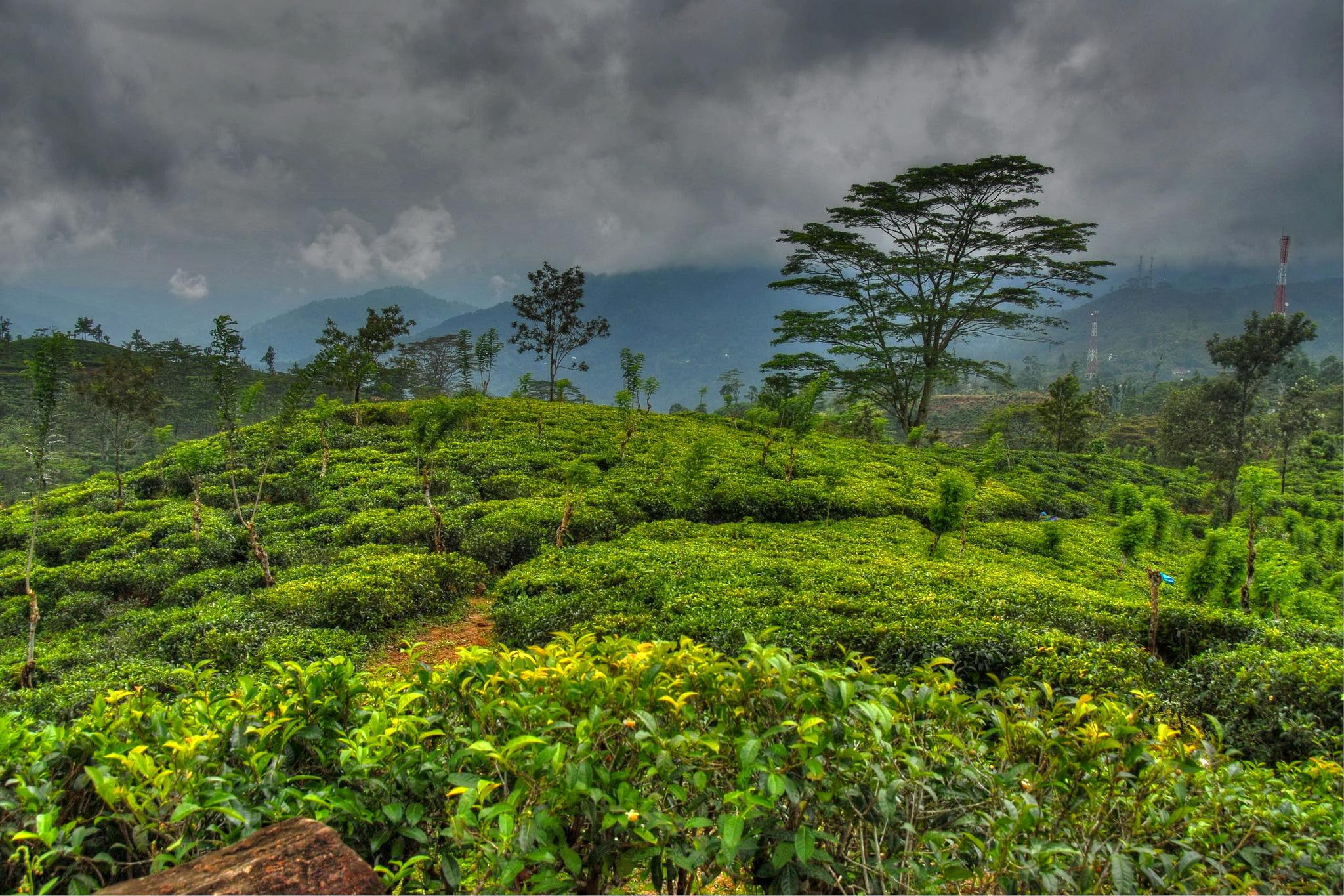 Tropics Scenery Sky Sri Lanka Nature 2k