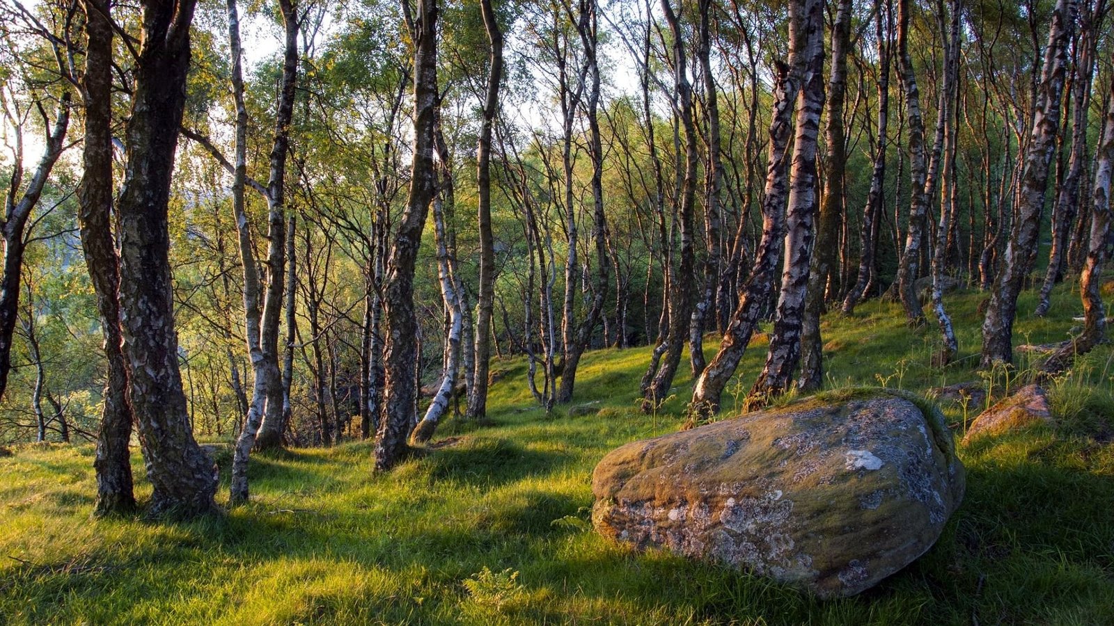 hd image of nature for pc 2k