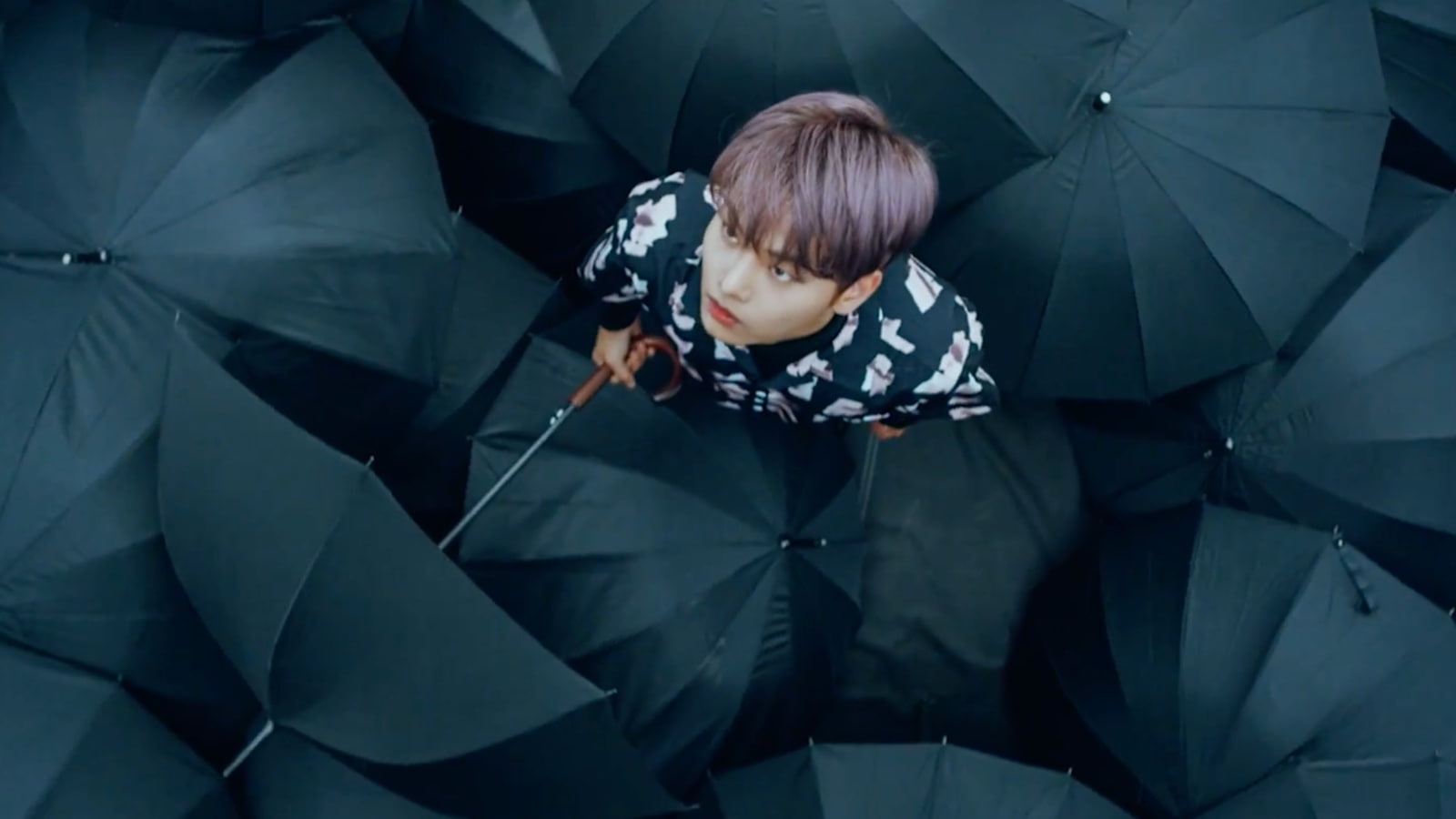 vixx K pop Ravi Hongbin Hyuk Hakyeon Jaehwan Taekwoon 2k