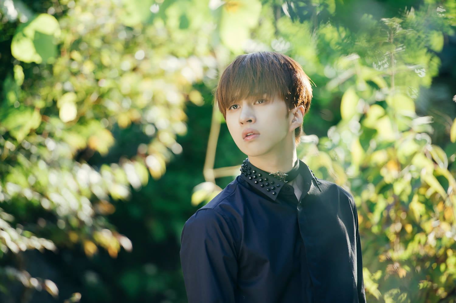 vixx K pop Ravi Hongbin Hyuk Hakyeon Jaehwan Taekwoon 2k