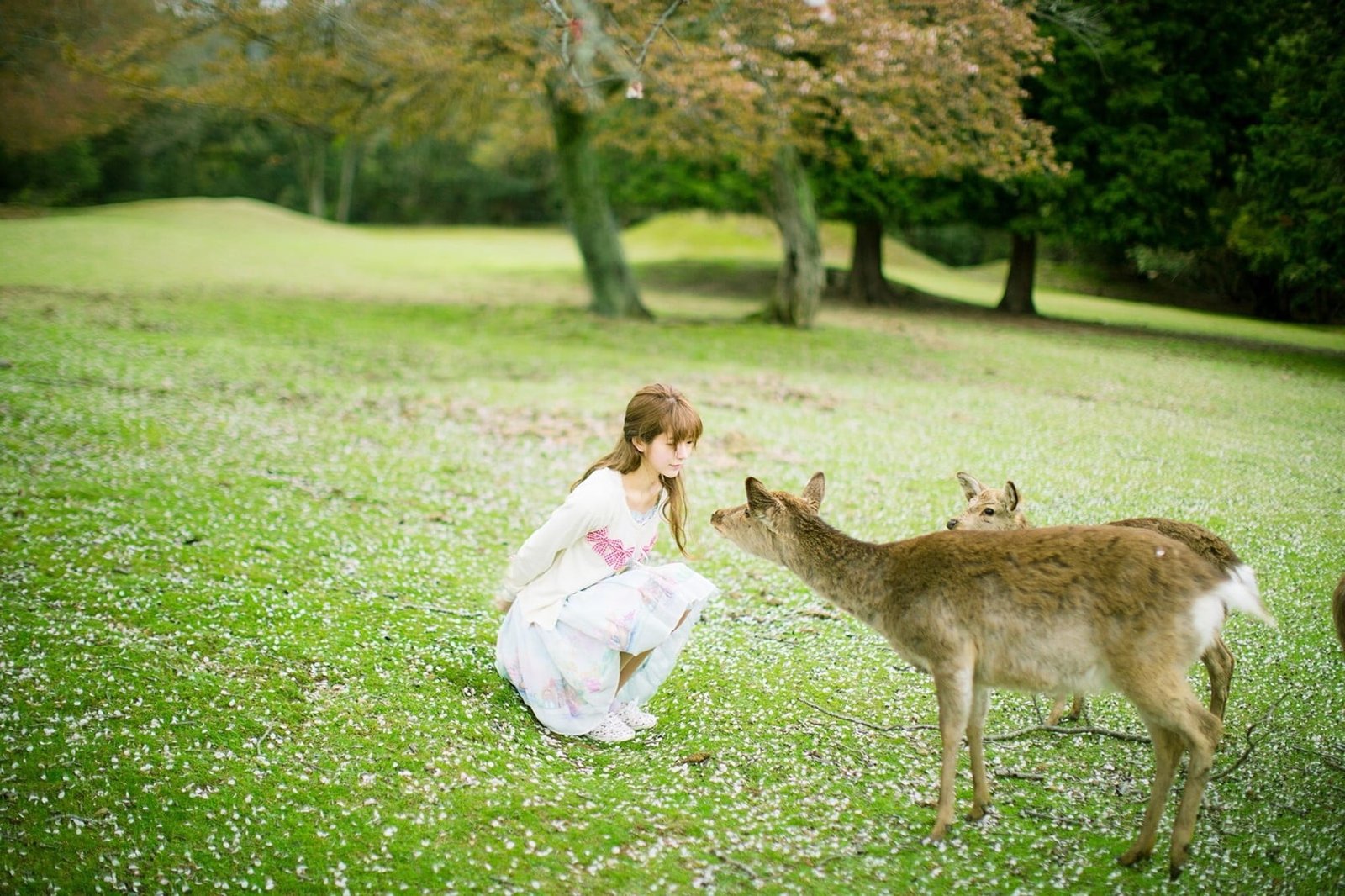 Yurisa Chan Korean model women plant grass green color 2k