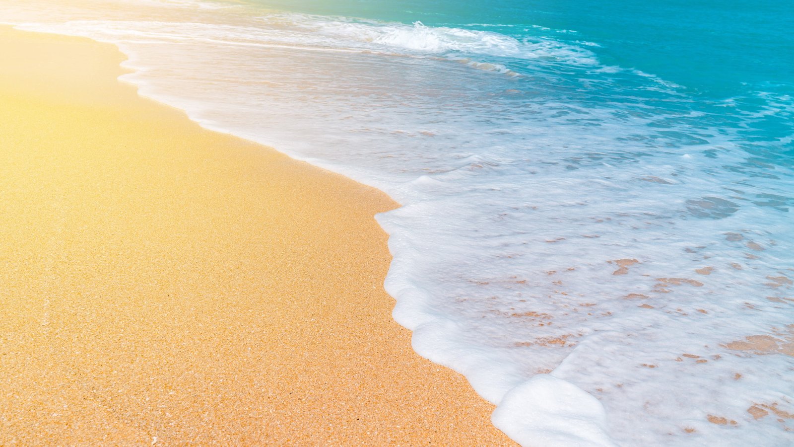 shoreline beach wave foam foamy sea sand sandy 2k 4k