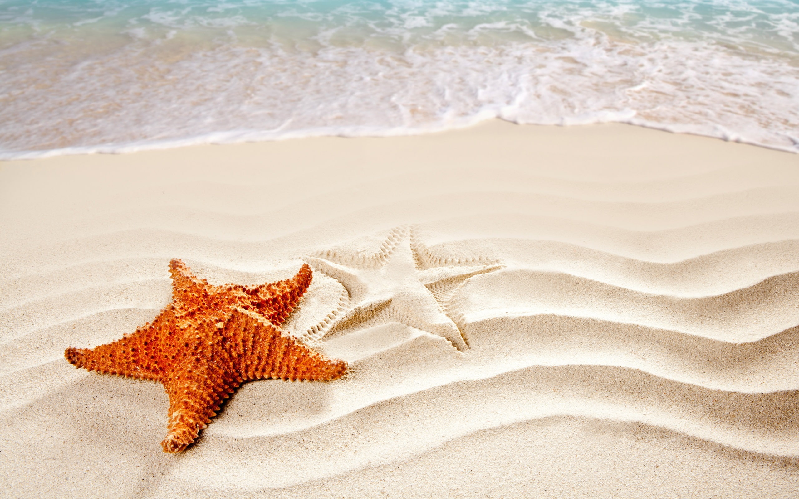 Beach sand surf starfish 2k