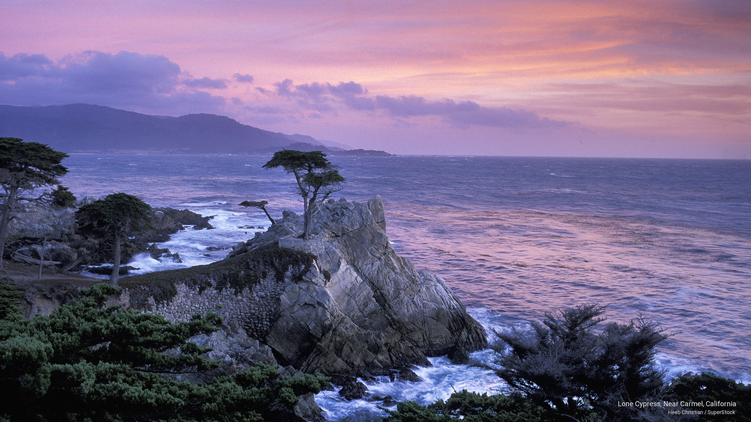 Lone Cypress Near Carmel California Beaches 2k