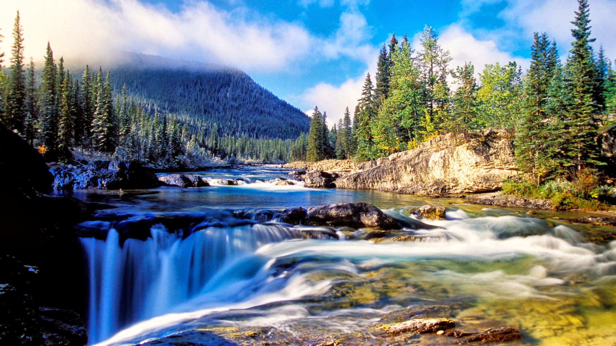 Nature Mountain Dense Spruce Forest River Rock Waterfall Background 2k