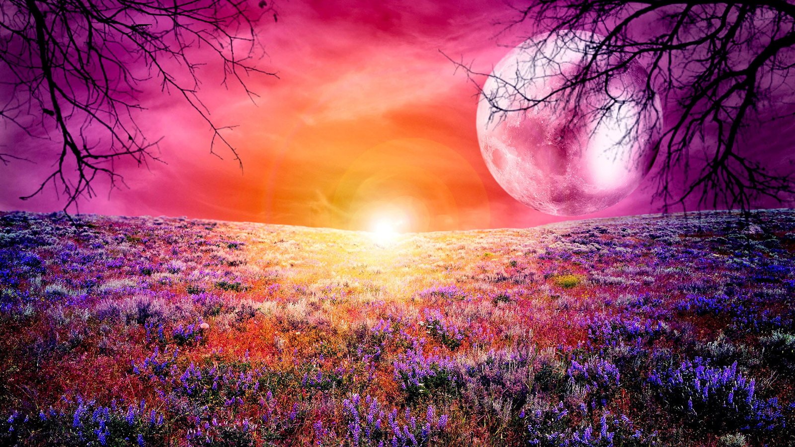 fantasy design art flower decoration floral plant pattern 2k