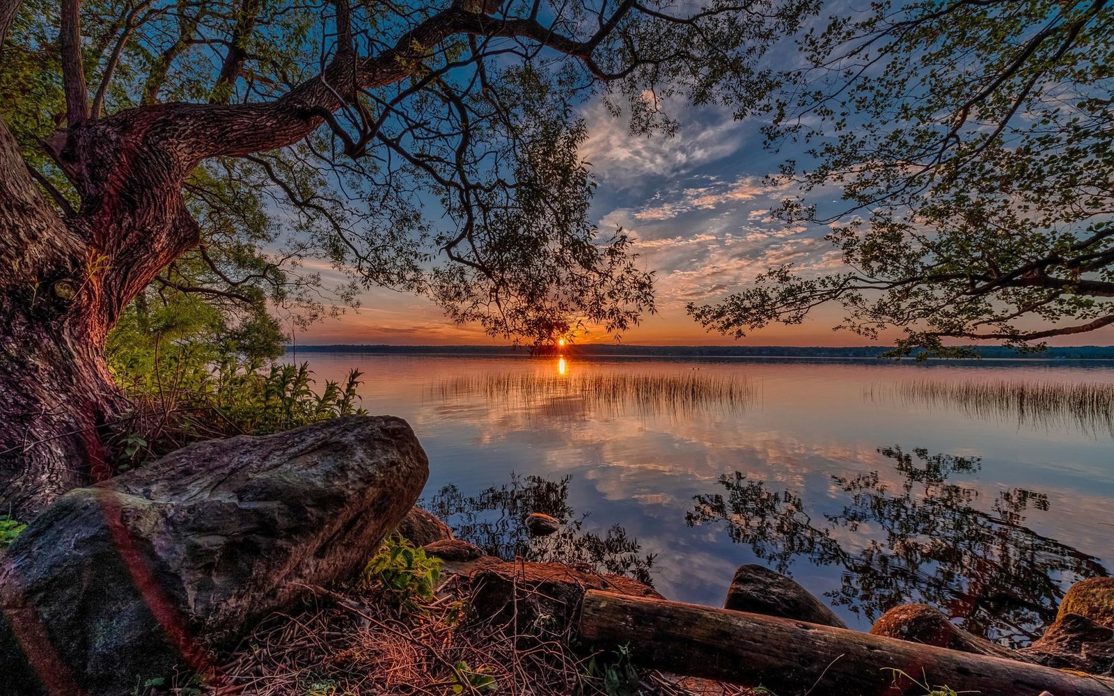 hd high resolution nature 2k