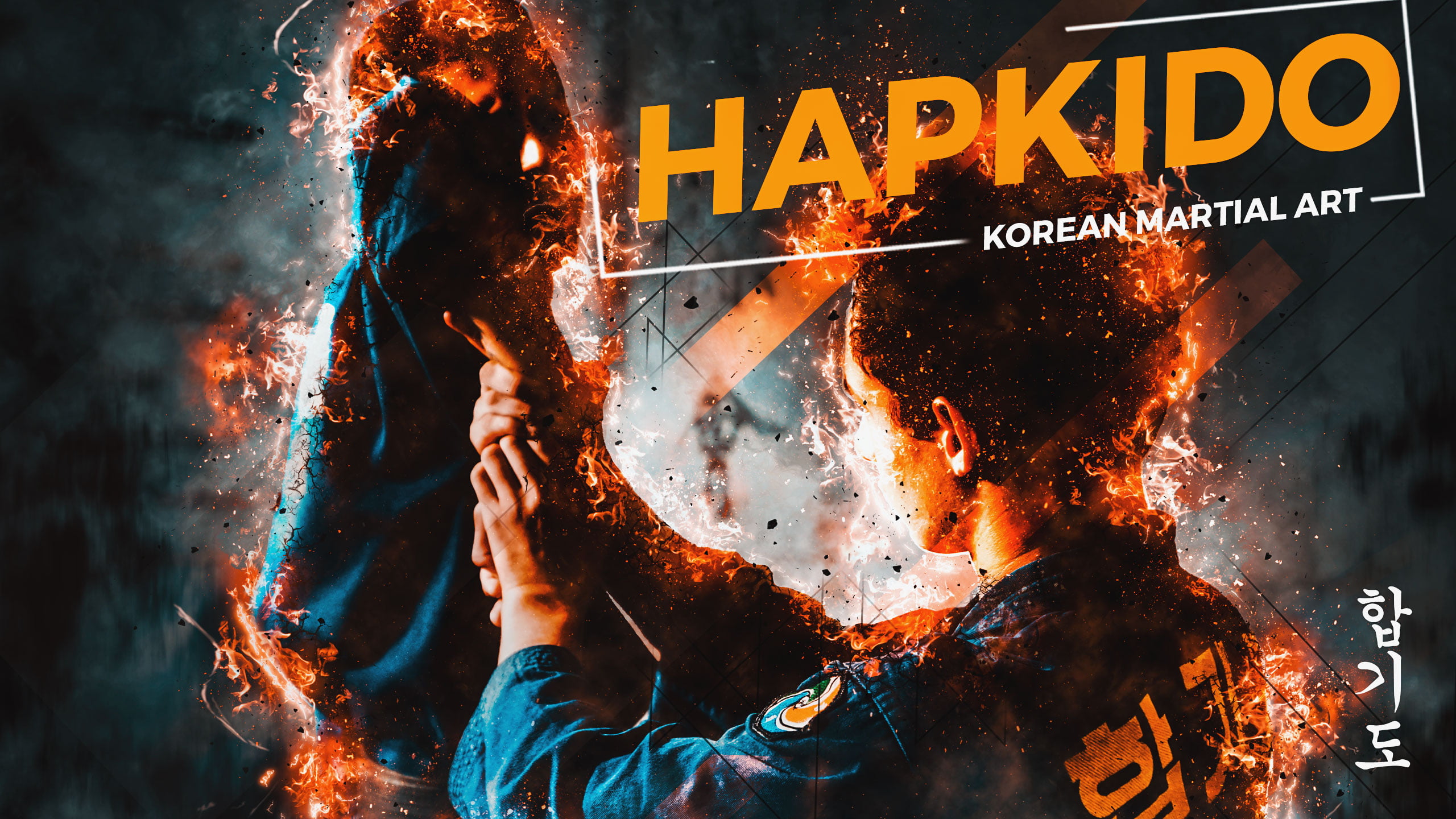 korean martial arts hapkido HAPKIDO CKA 2k