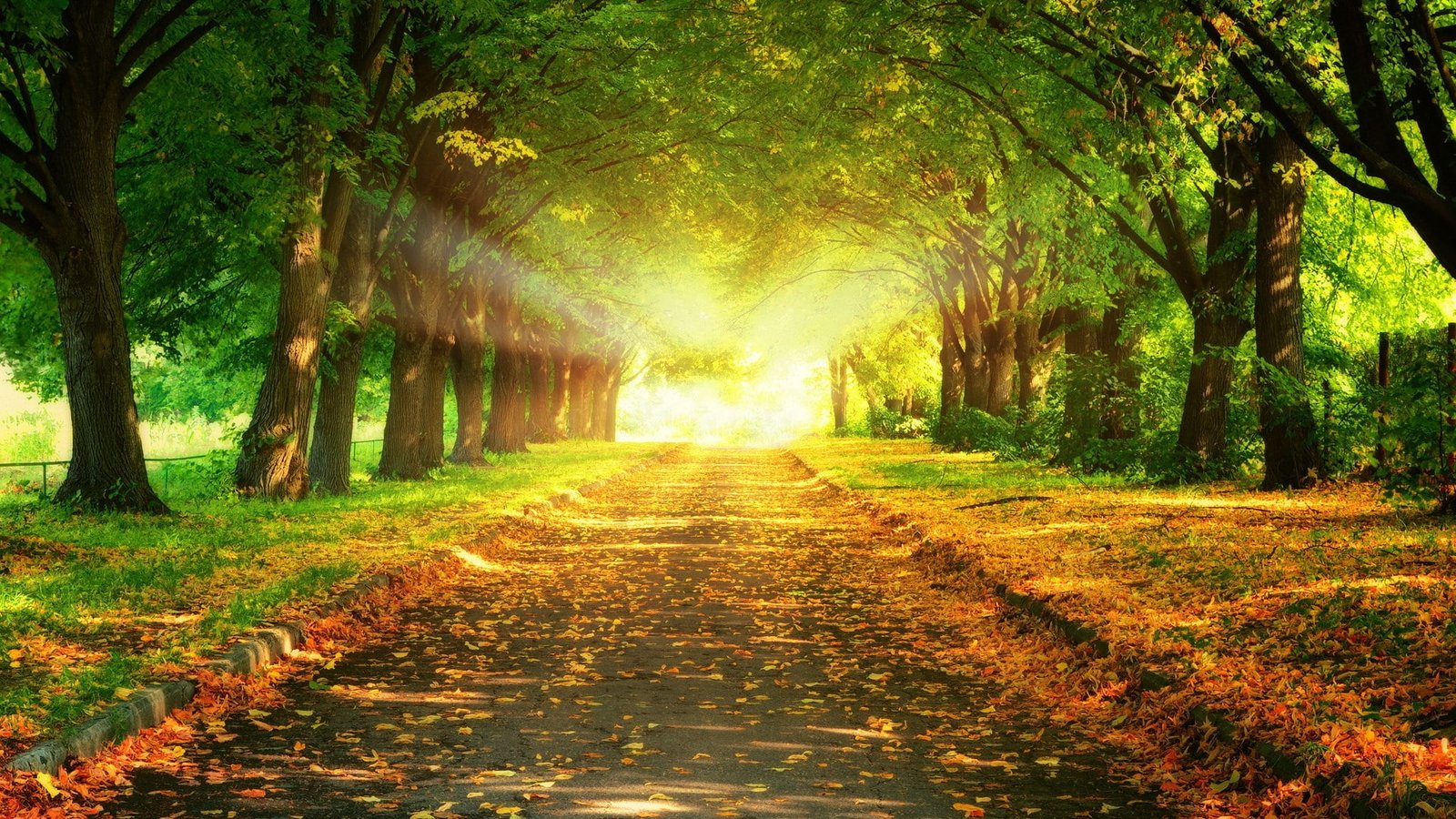 nature hd for pc download 2k