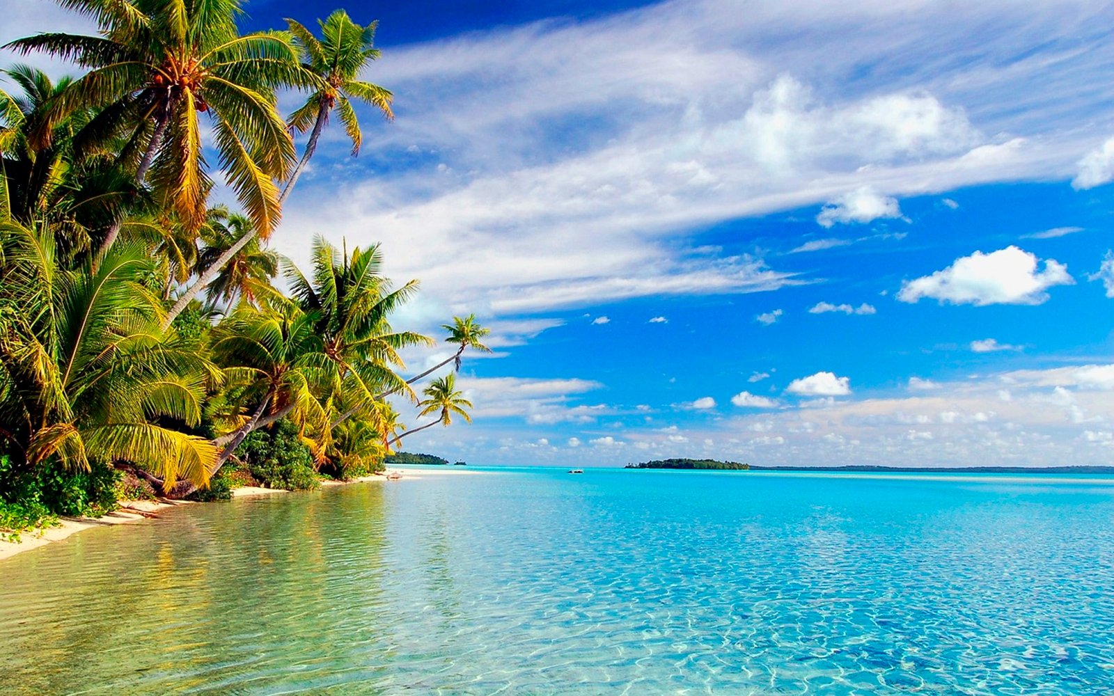 Beautiful Beach With Sand Green Palm Trees Clear Sea Water Wallpaper Hd 2k