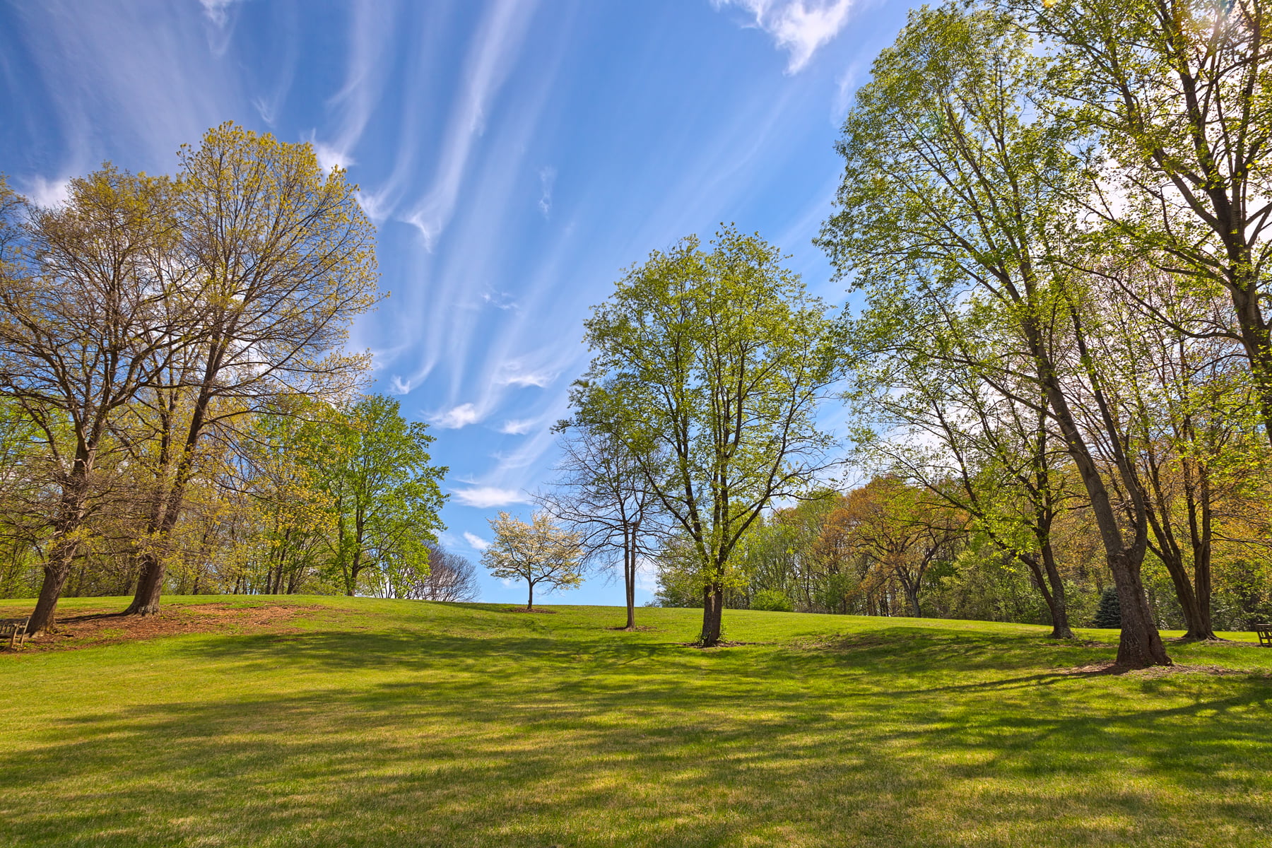 green grass shot during day time meadowlark Gardens 2k