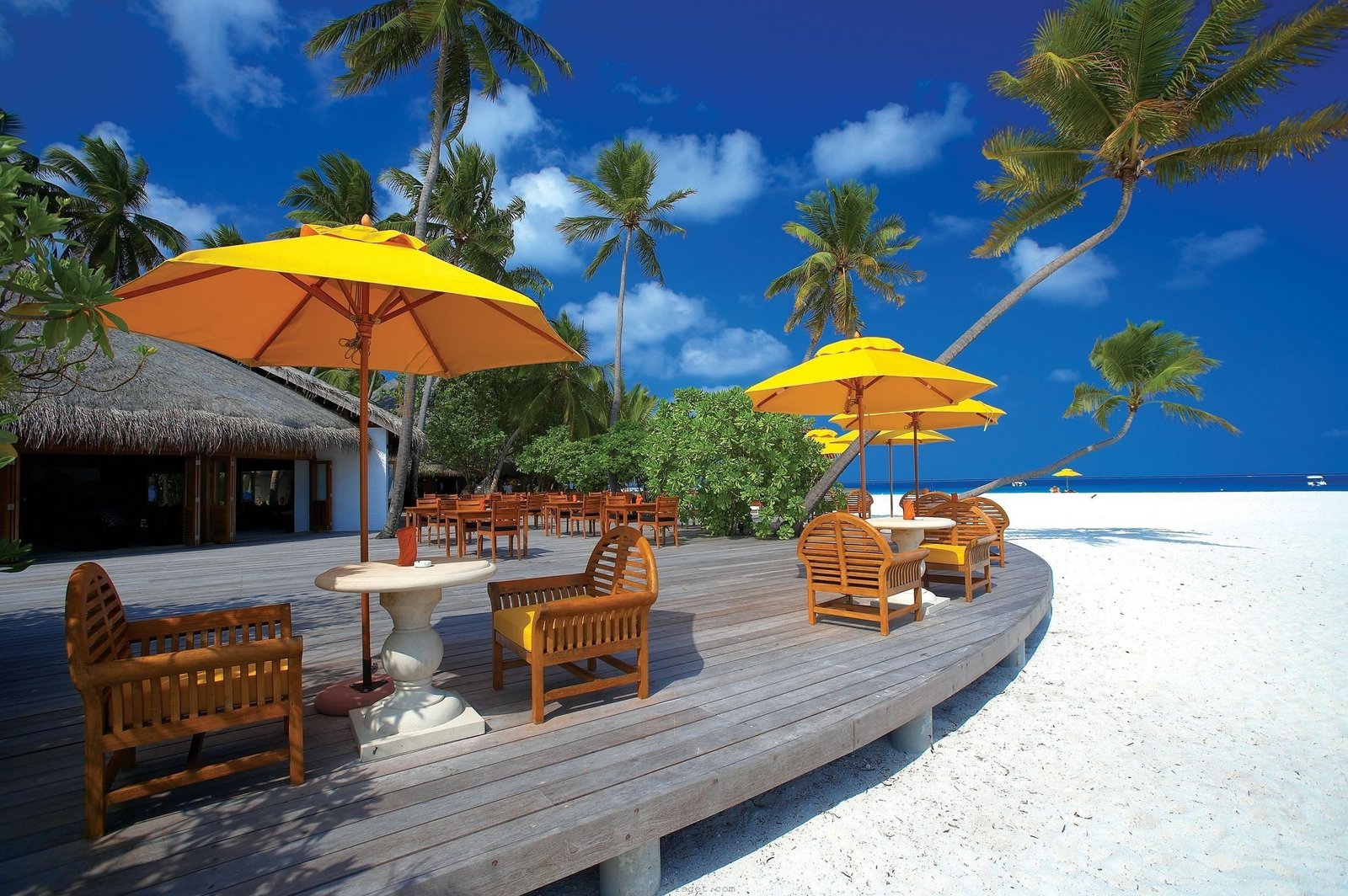 hotel palm trees beach 2k