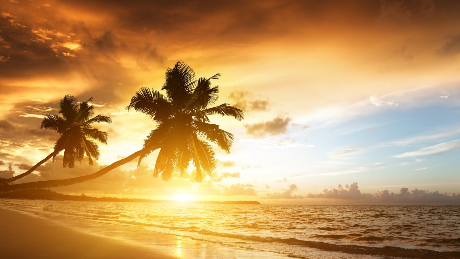 sunset beach sky clouds nature landscape trees water 2k 4k