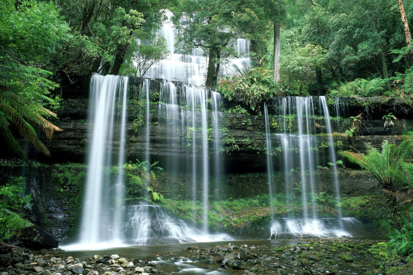 water falls on black rock nature landscape trees forest stones 2k
