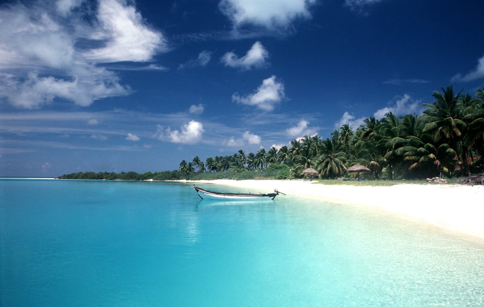 brown and white boat beach palm trees clouds sea water sky 2k