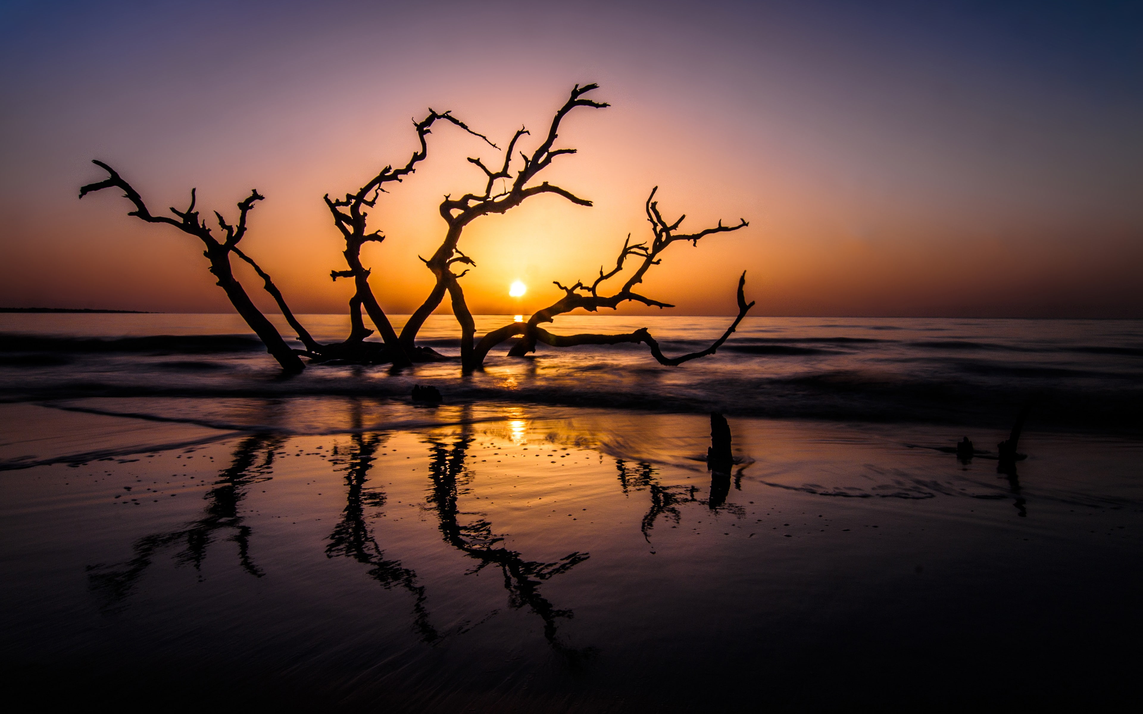 sunset landscape sea horizon dead trees wet beach reflection 2k 4k