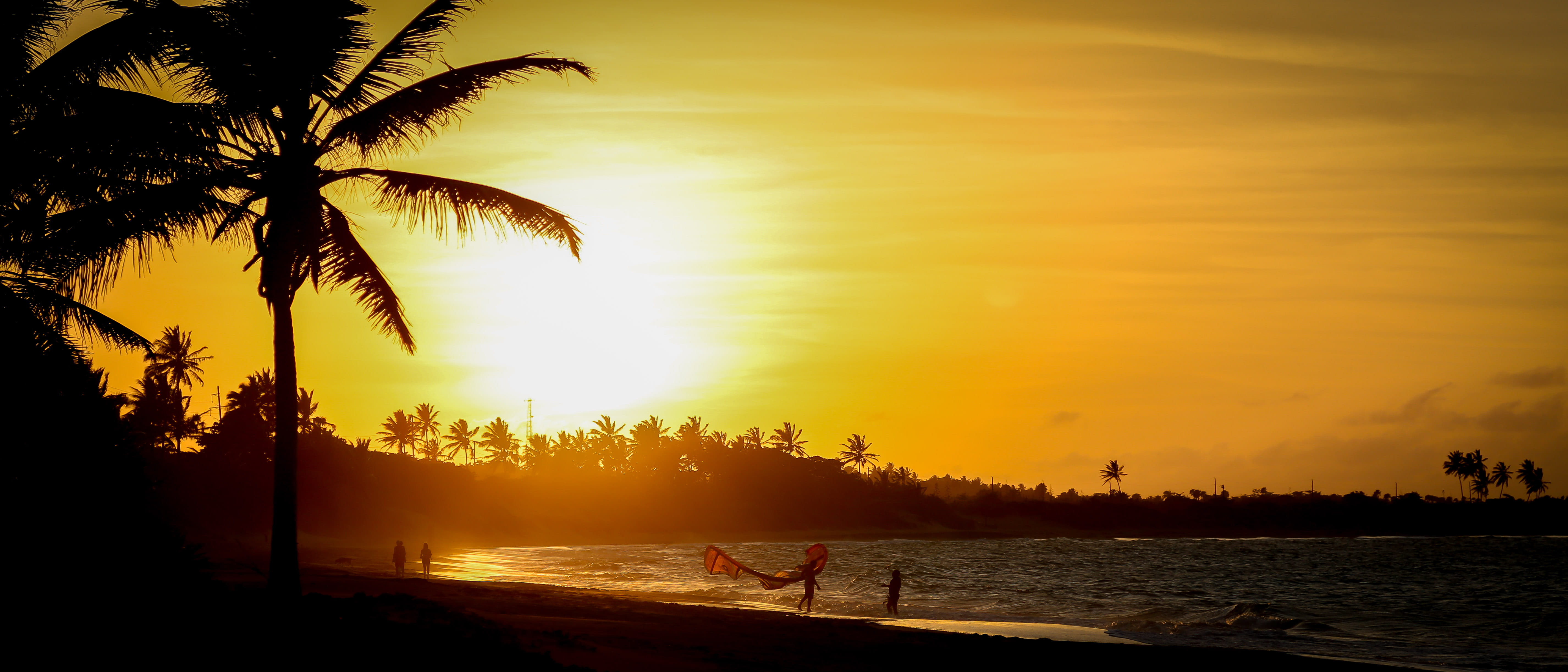 background beach sail kite surf kitesurf sunset palmtree 2k 4k 5k