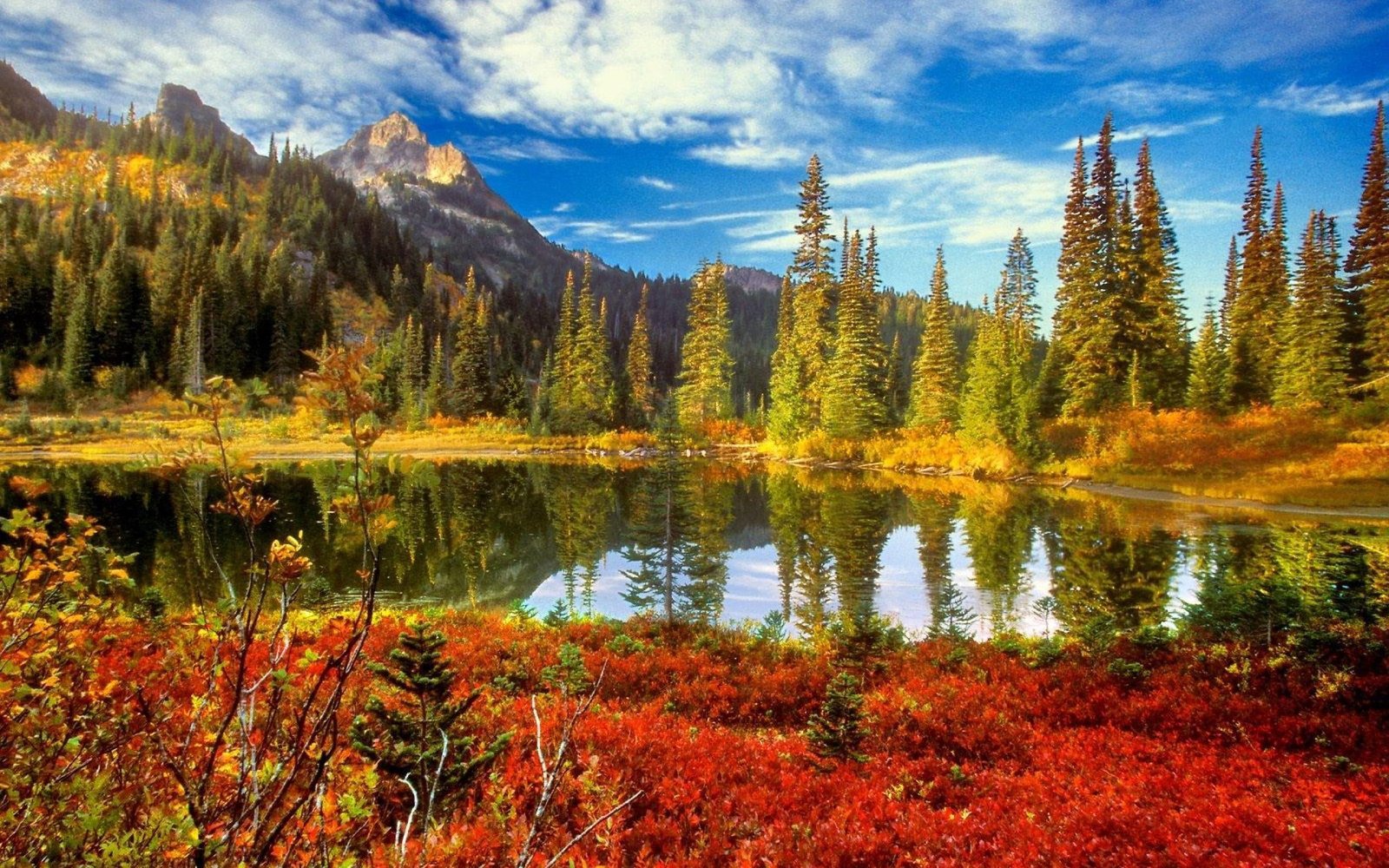 Beauty Lake Around The Nature forest autum tree and abstract 2k