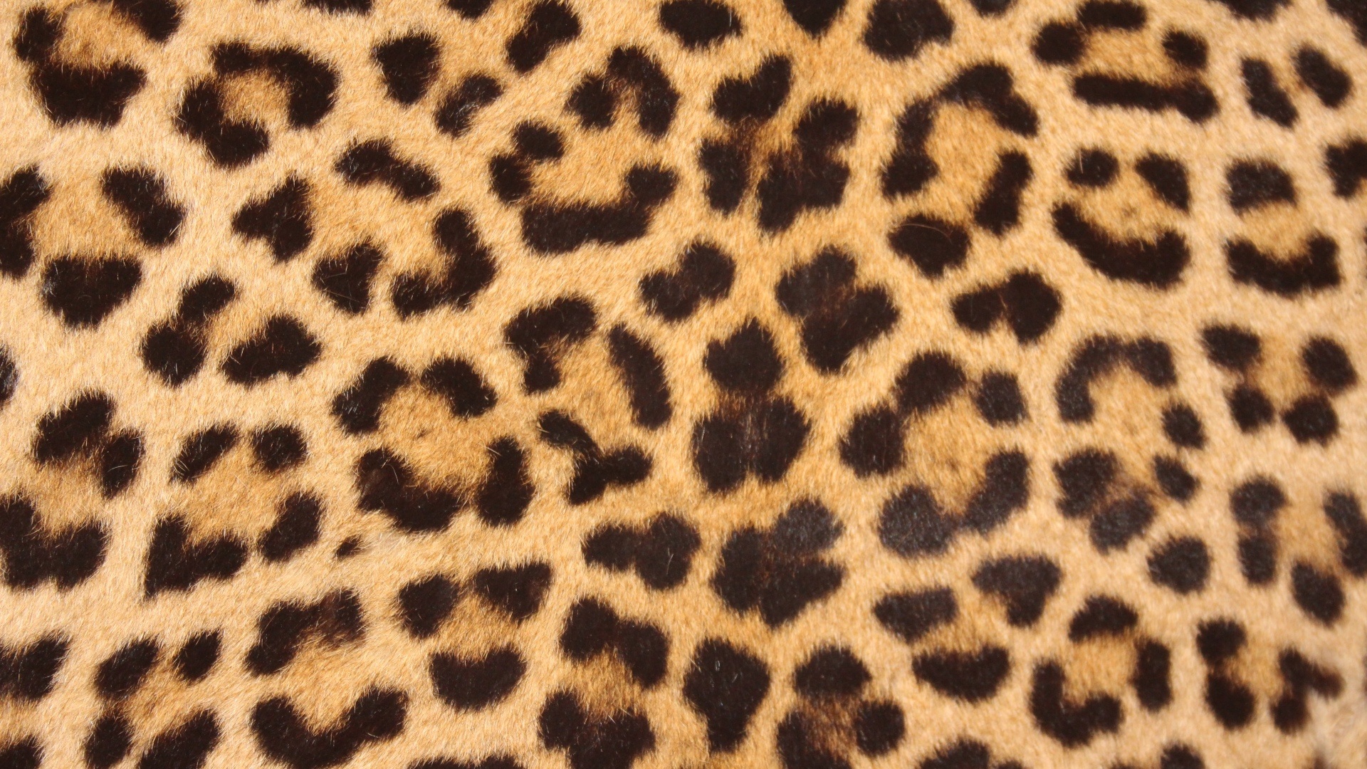 brown and black leopard textile skin spots design 2k