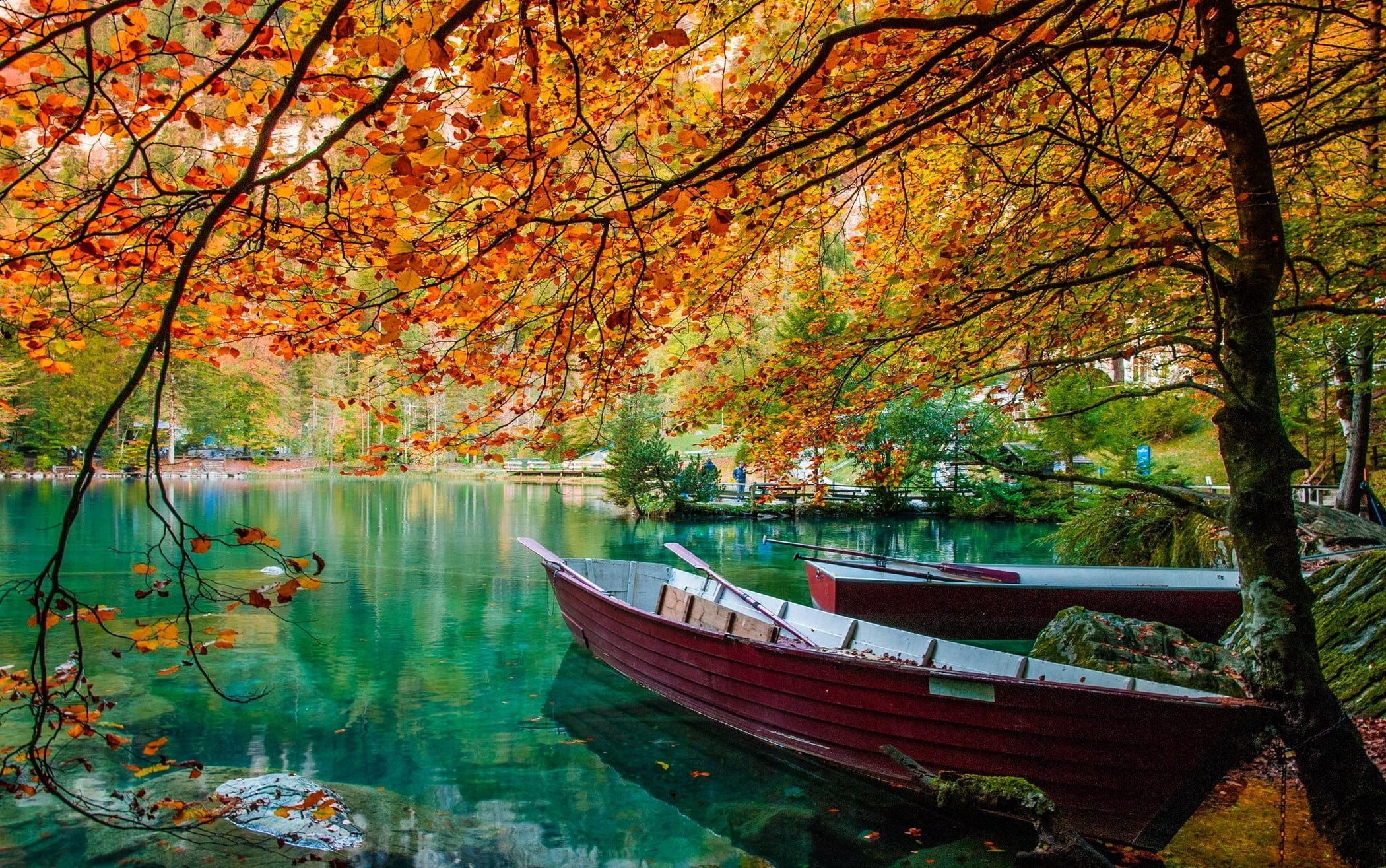 brown canoe two red on blue body of water surround trees photo 2k