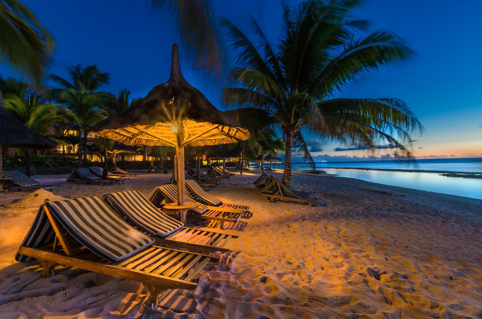 brown wooden lounger sand sea beach lights tropics palm trees 2k