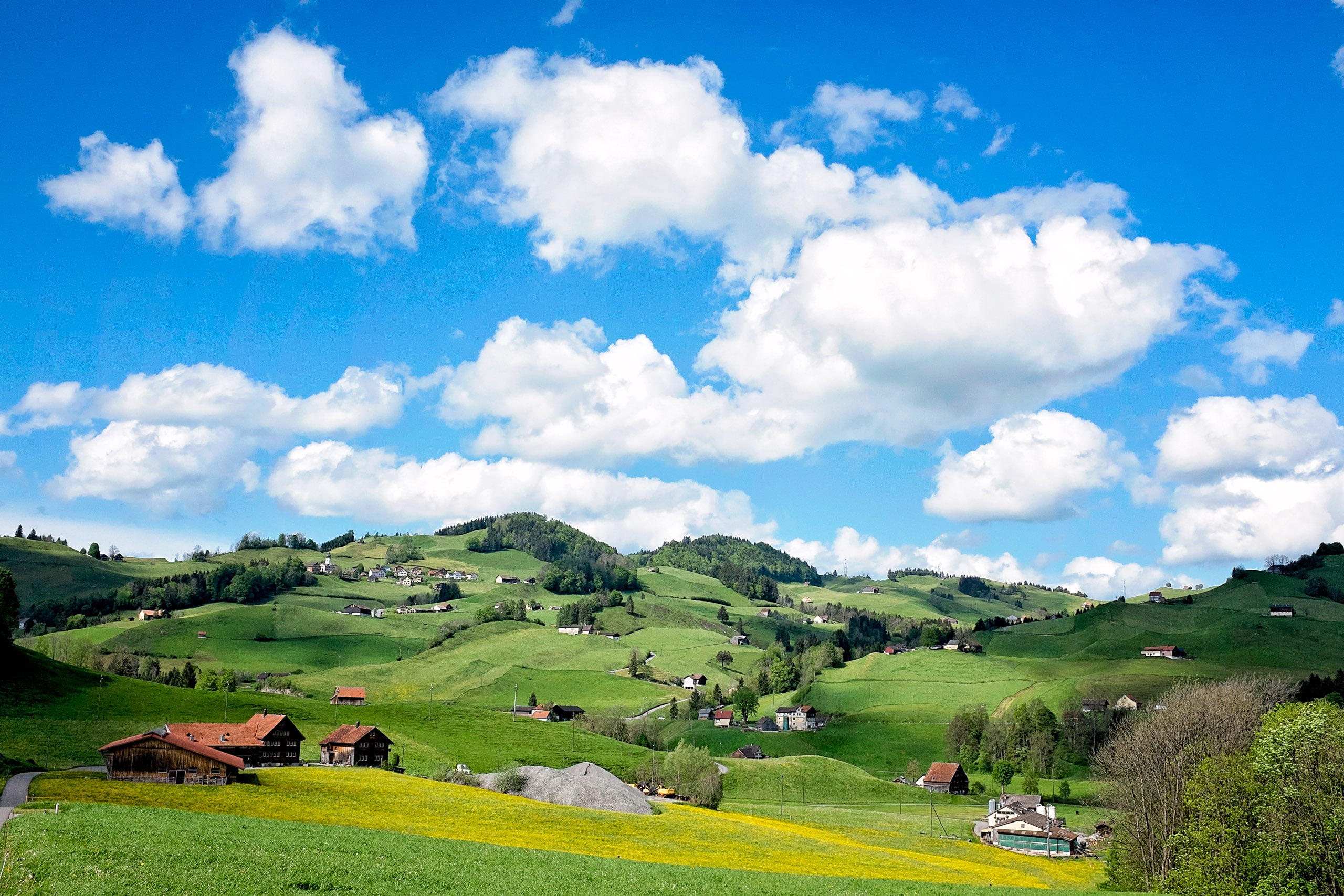 landscape photography of green grass field during daytime Bumps 2k