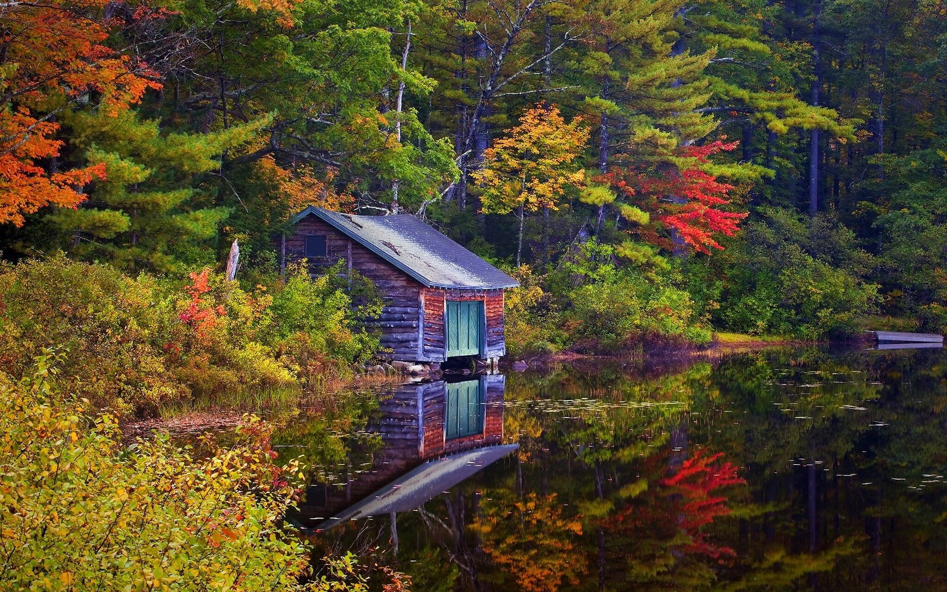 laptop backgrounds nature images tree autumn plant 2k