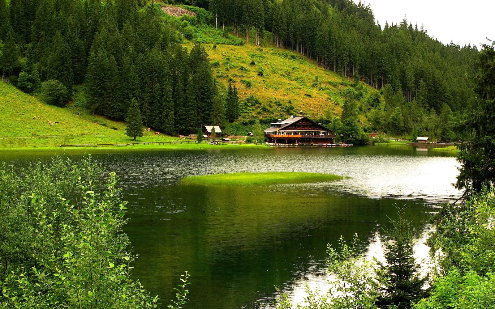 Nature scenery mountains trees river house green 2k