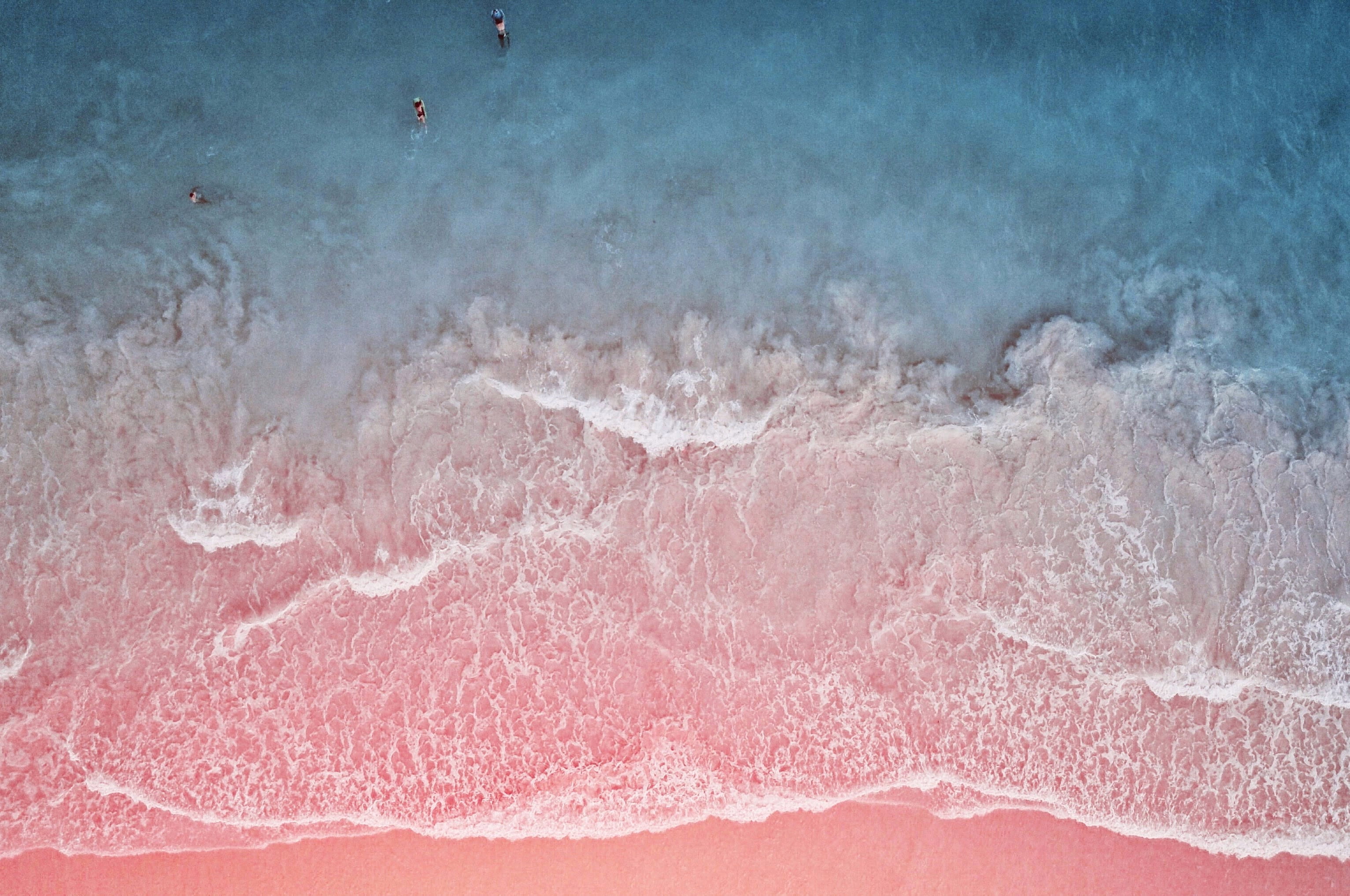 Pink Sands water on seashore ocean wave beach pink color 2k