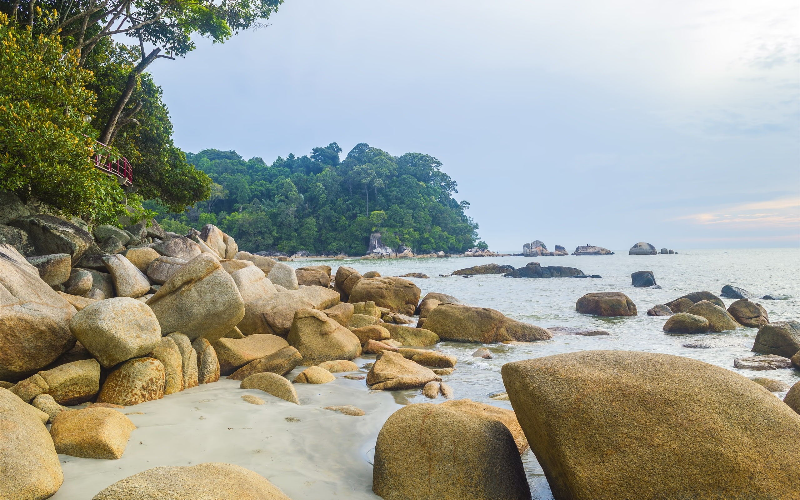 Sea coast beach rocks trees beige rock 2k