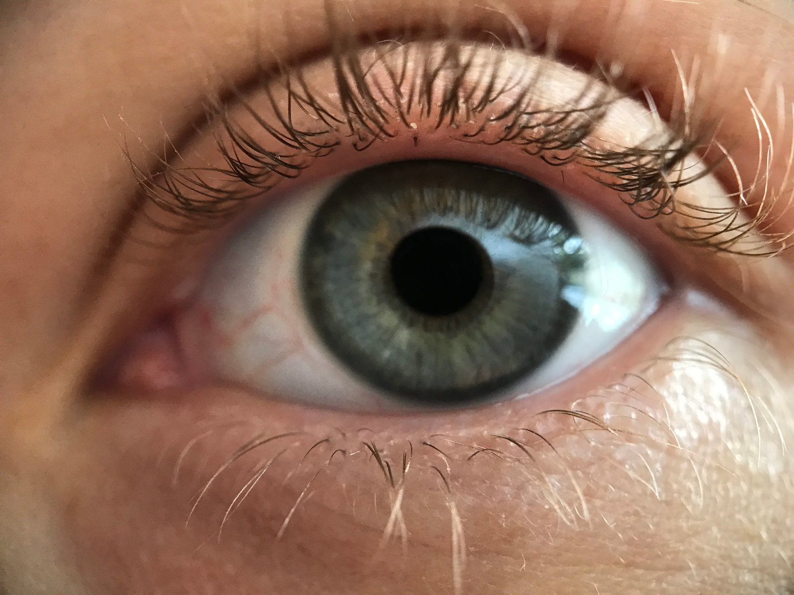 united states miami beach meridian ave olho eye ojo 2k 4k