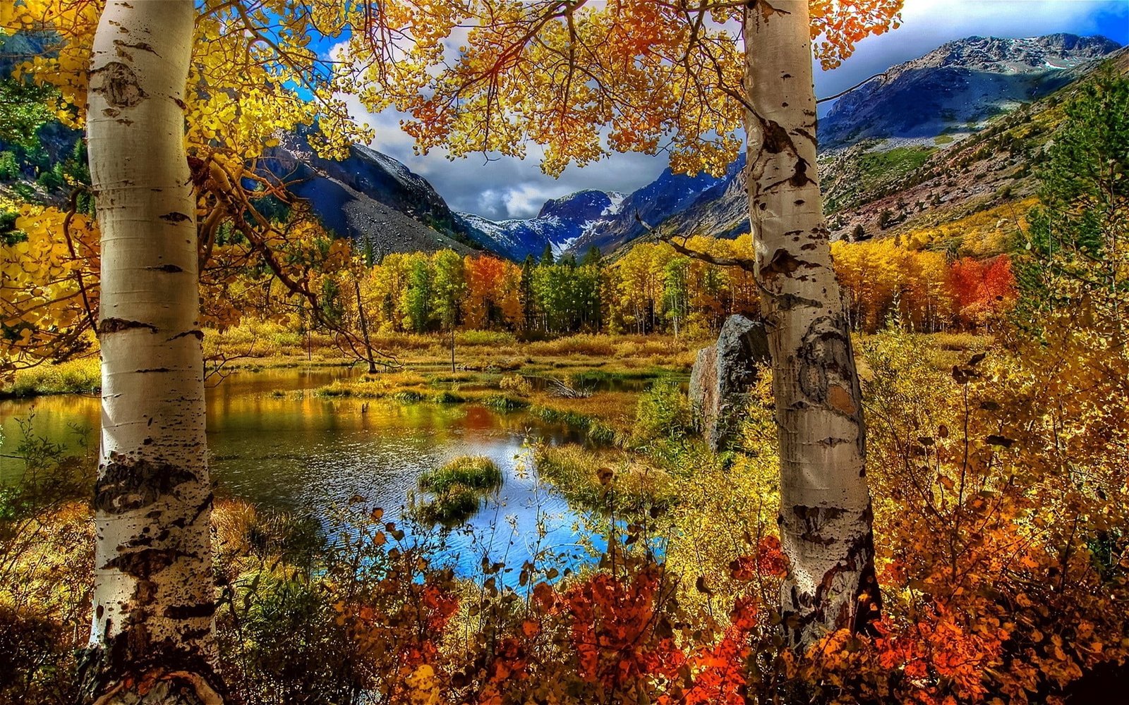 yellow and red leaf trees nature fall landscape mountains 2k