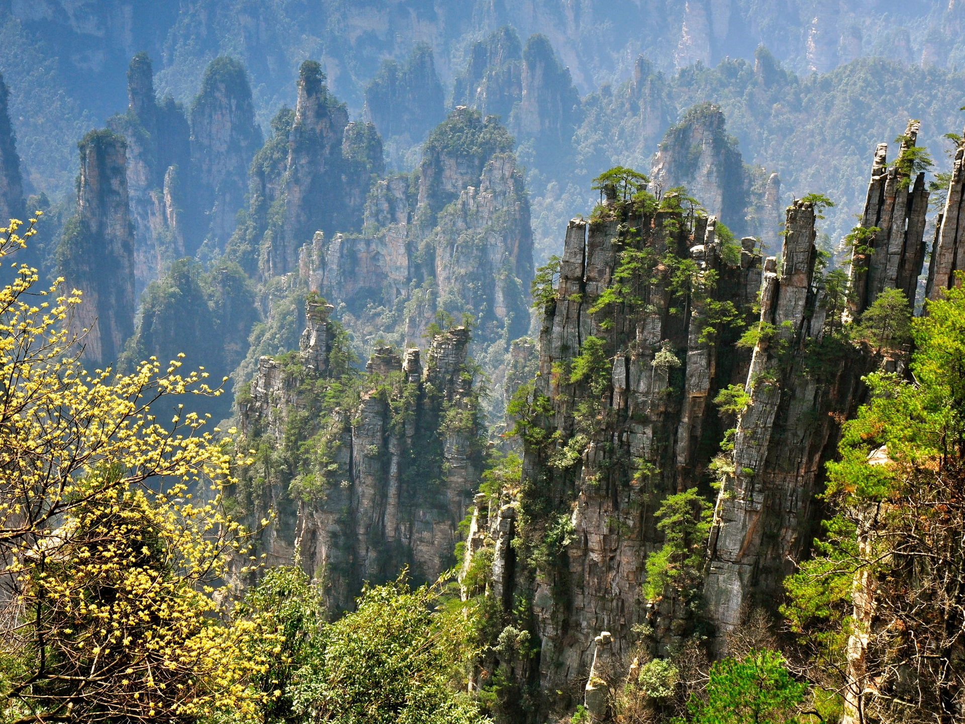 Zhangjiajie beautiful natural scenery rocky mountain cliffs China 2k