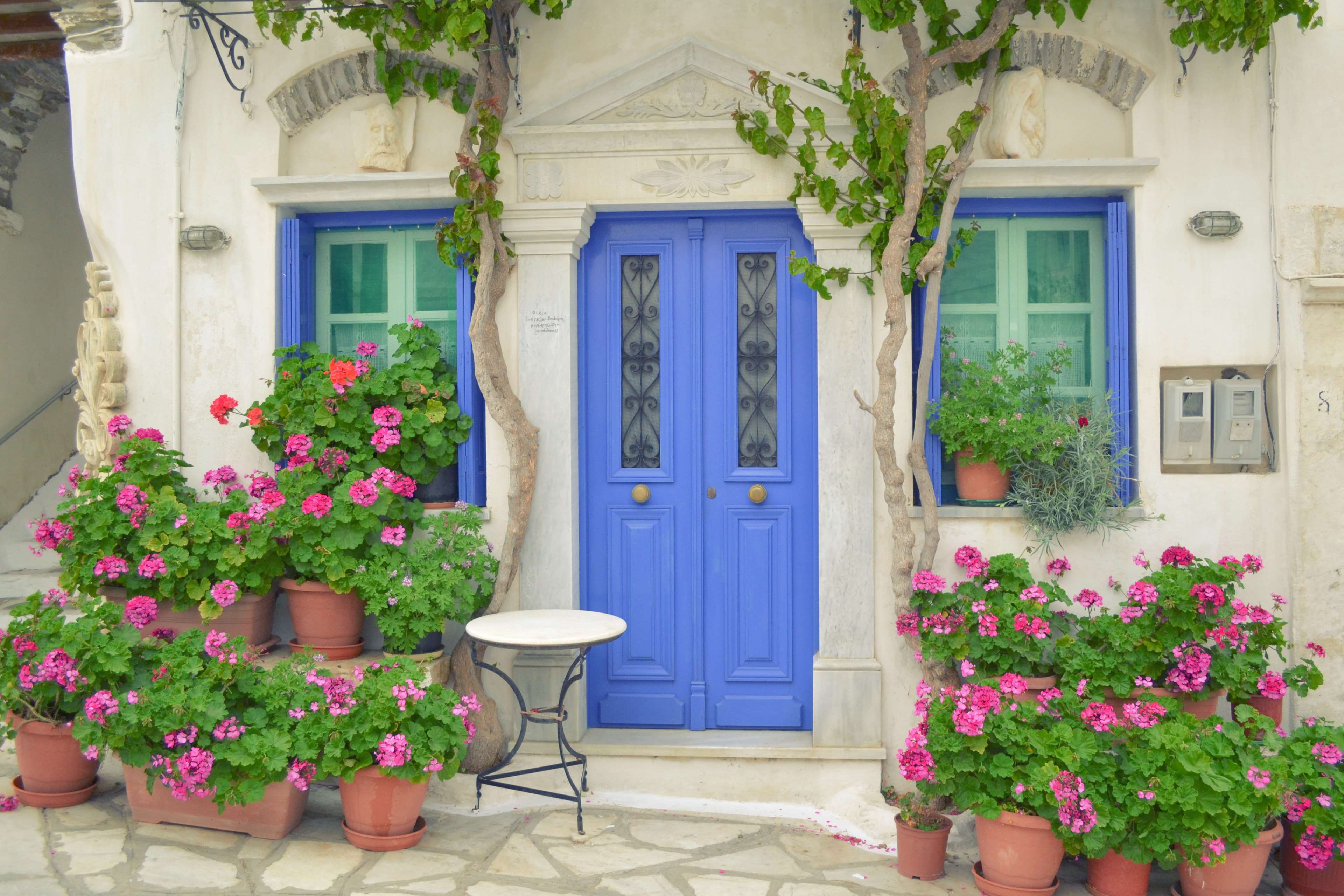 architecture blue colorful door dor with flowers entrance 2k 4k