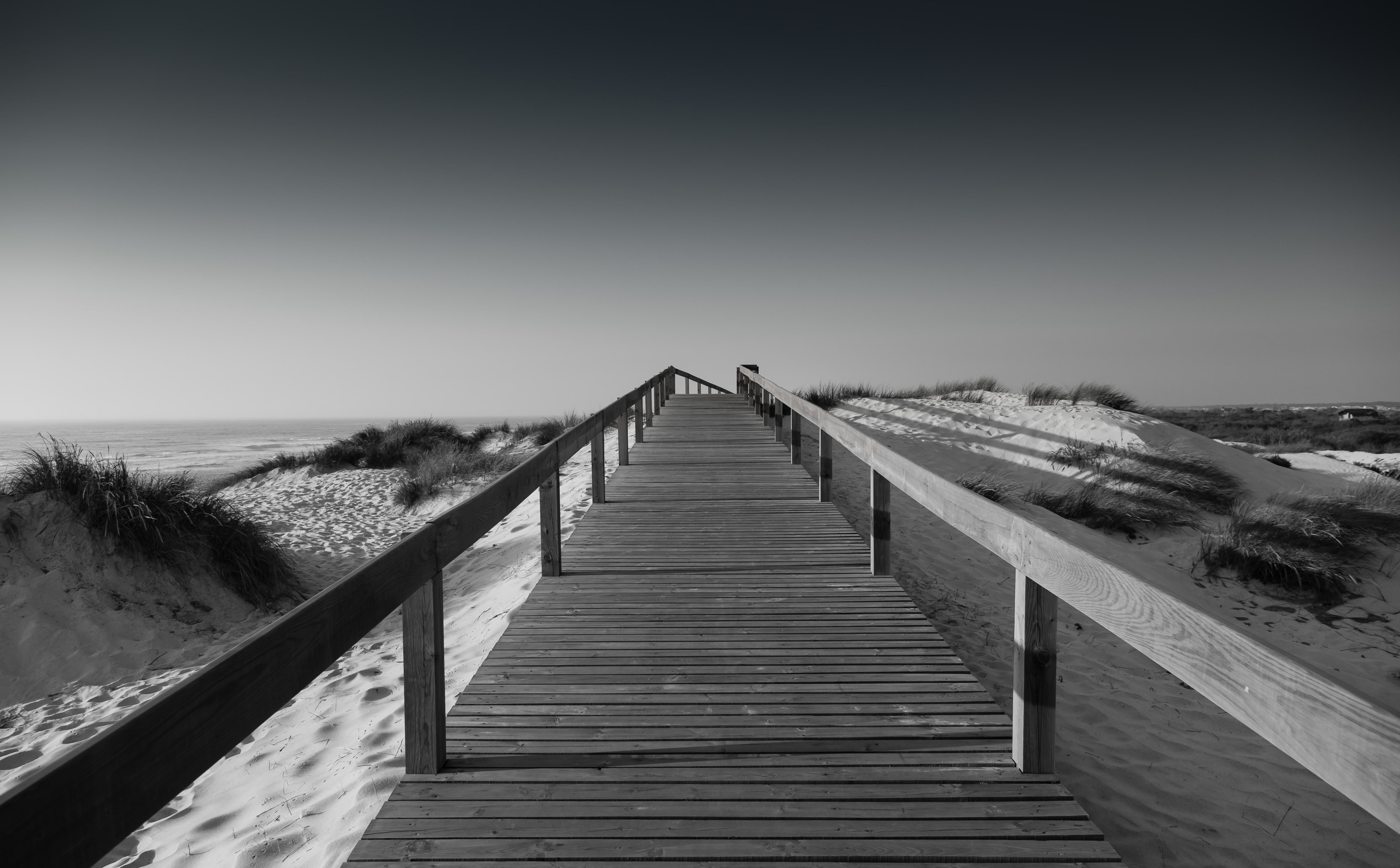 Beach Boardwalk Black and White Grass Photography Sand Outdoor 2k 4k 5k