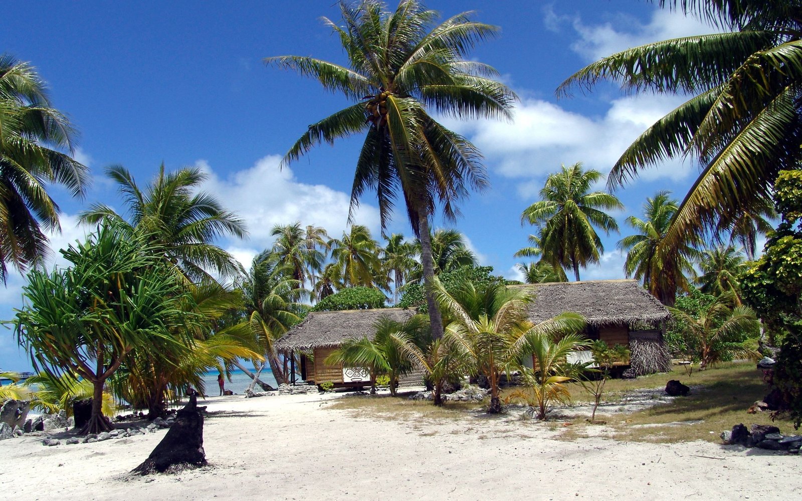 beach sand palm trees 2k