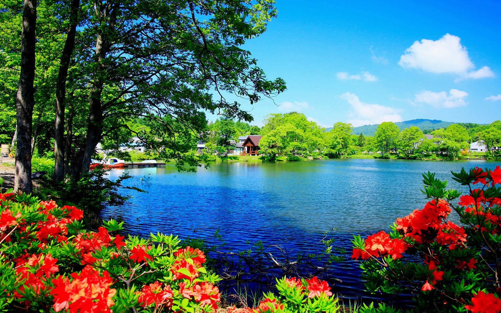 Beautiful Nature Scenery Wallpapers Wallpaper Desktop Hd 2k