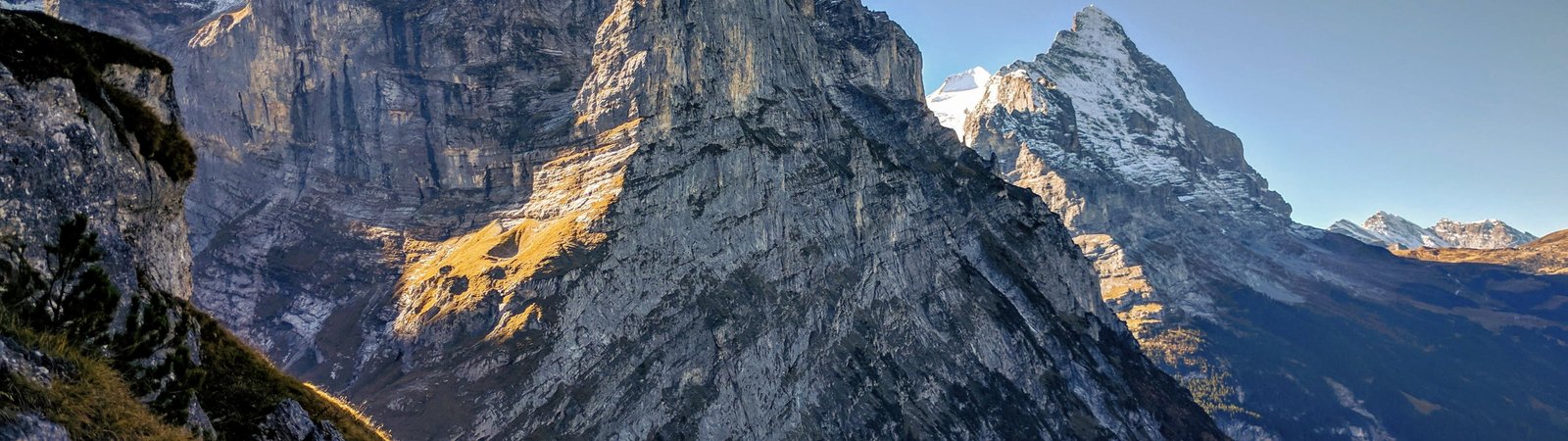 black and brown tree camouflage textile landscape Alps Switzerland 2k 4k