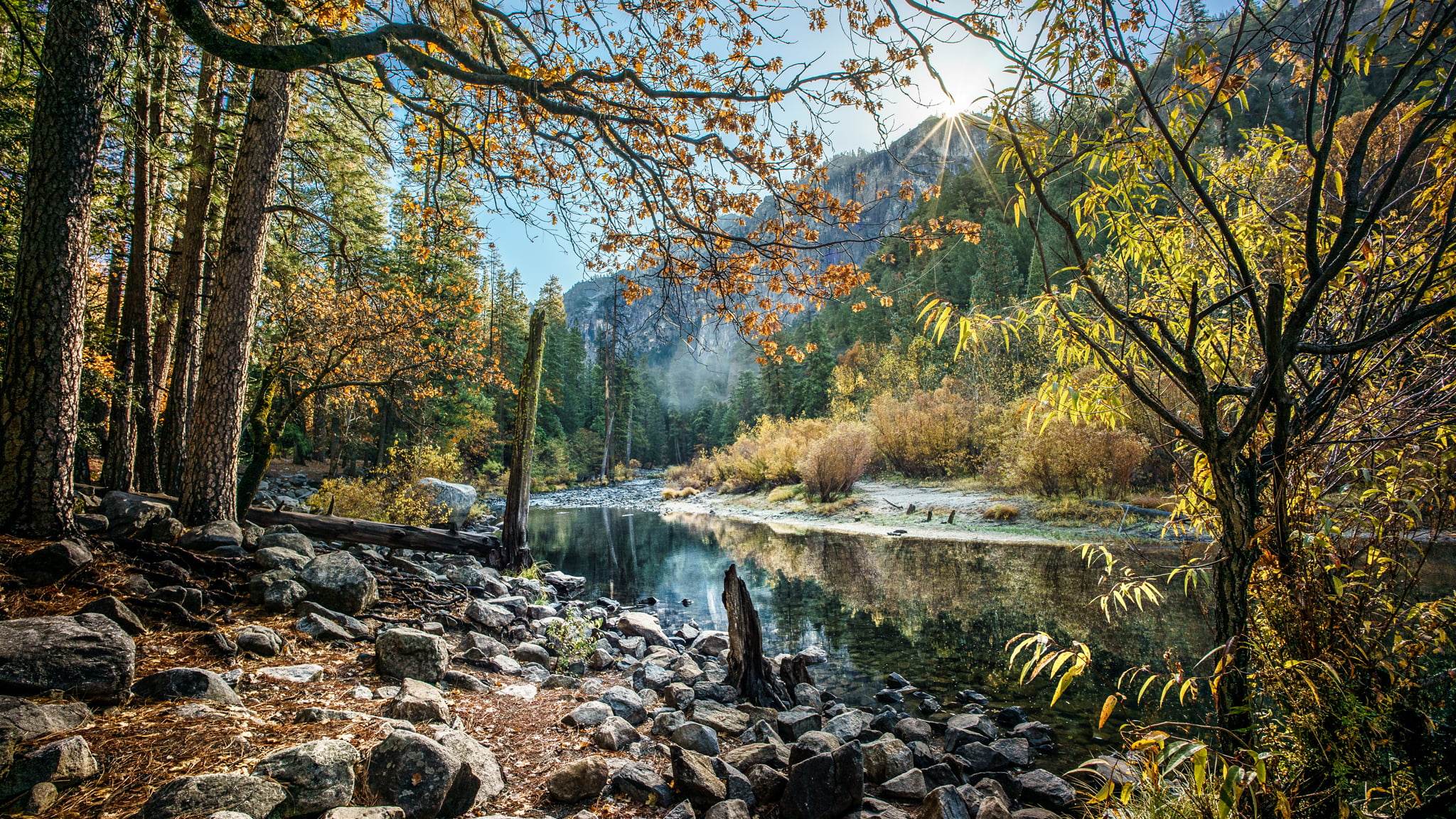 brown and yellow leaf trees near body of water yosemite national park california 2k