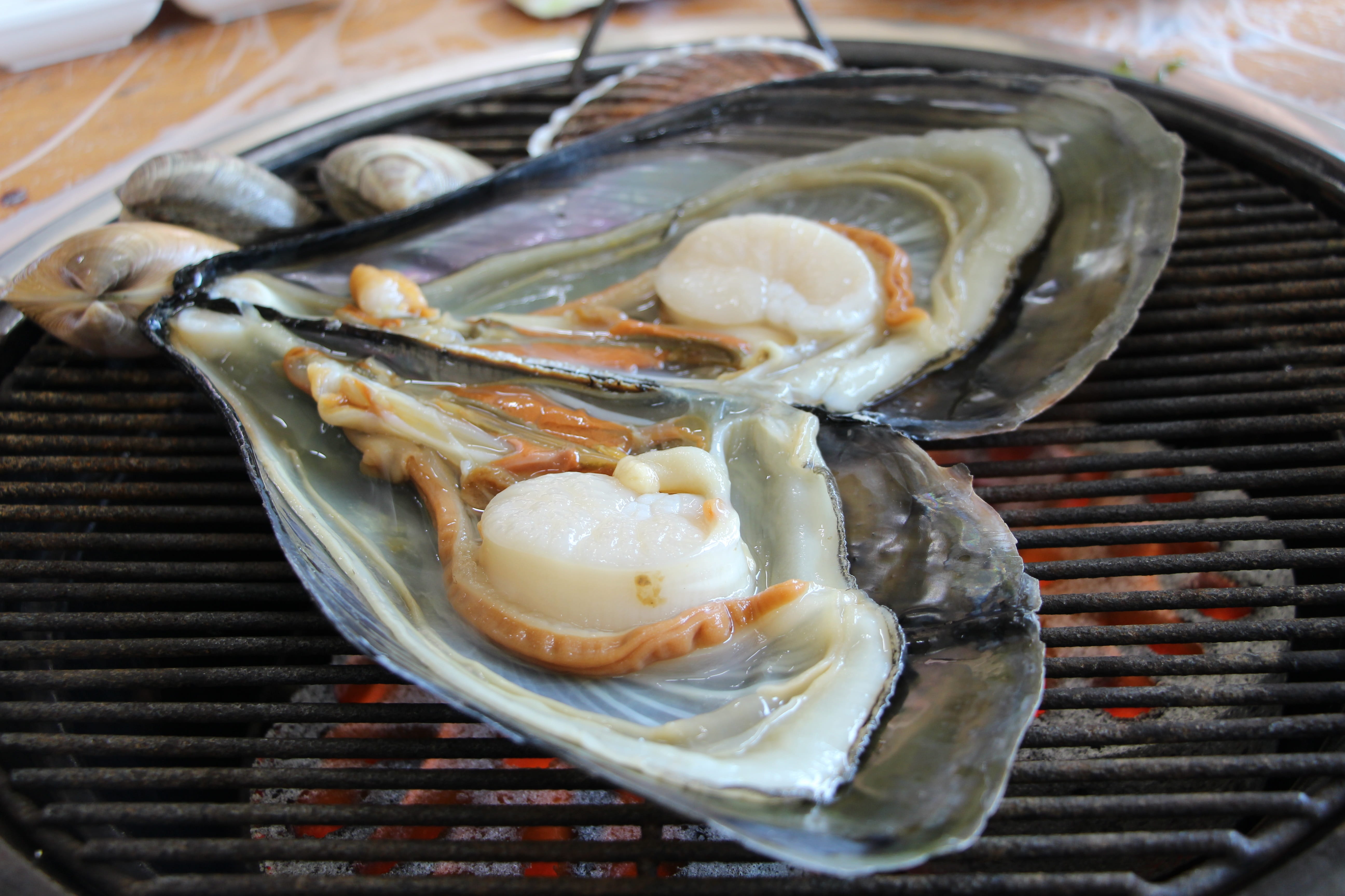 clam grilled shellfish seafood cooking grill food and drink 2k 4k 5k