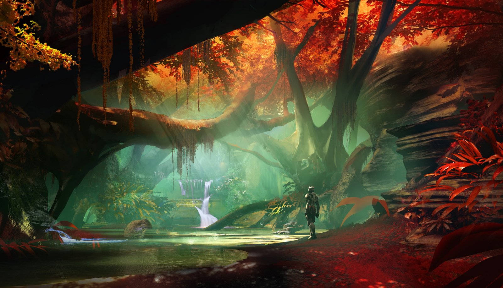 destiny 2 mac wallpaper tree nature plant no people 2k 4k