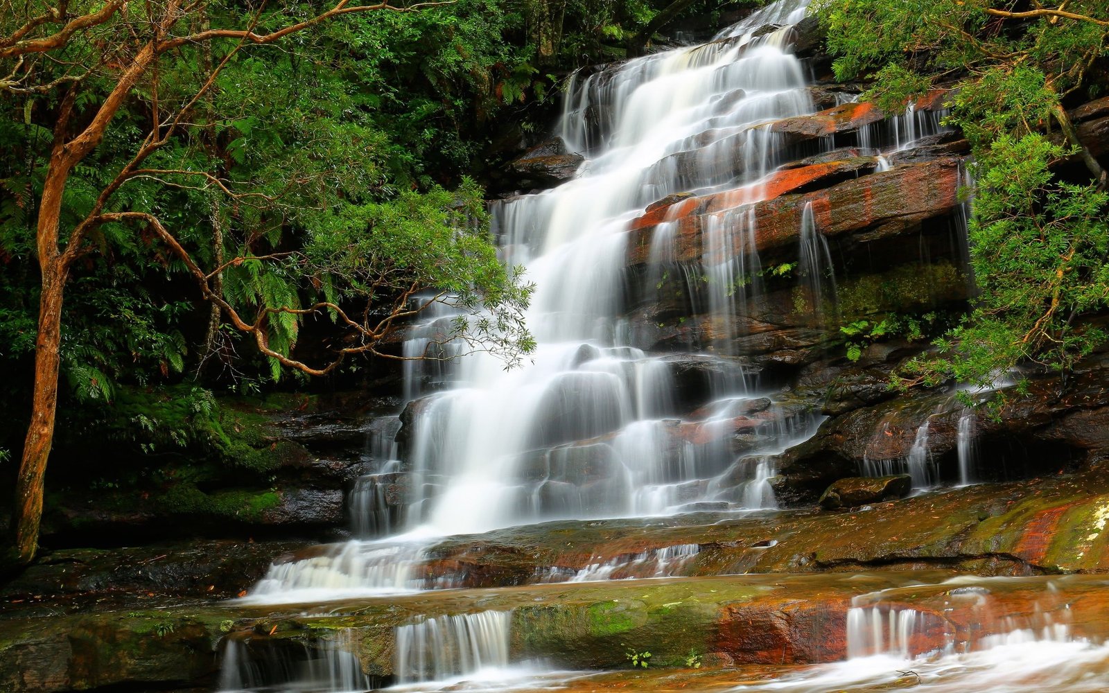 Falls Waterfall Nature Scenery Trees 2k