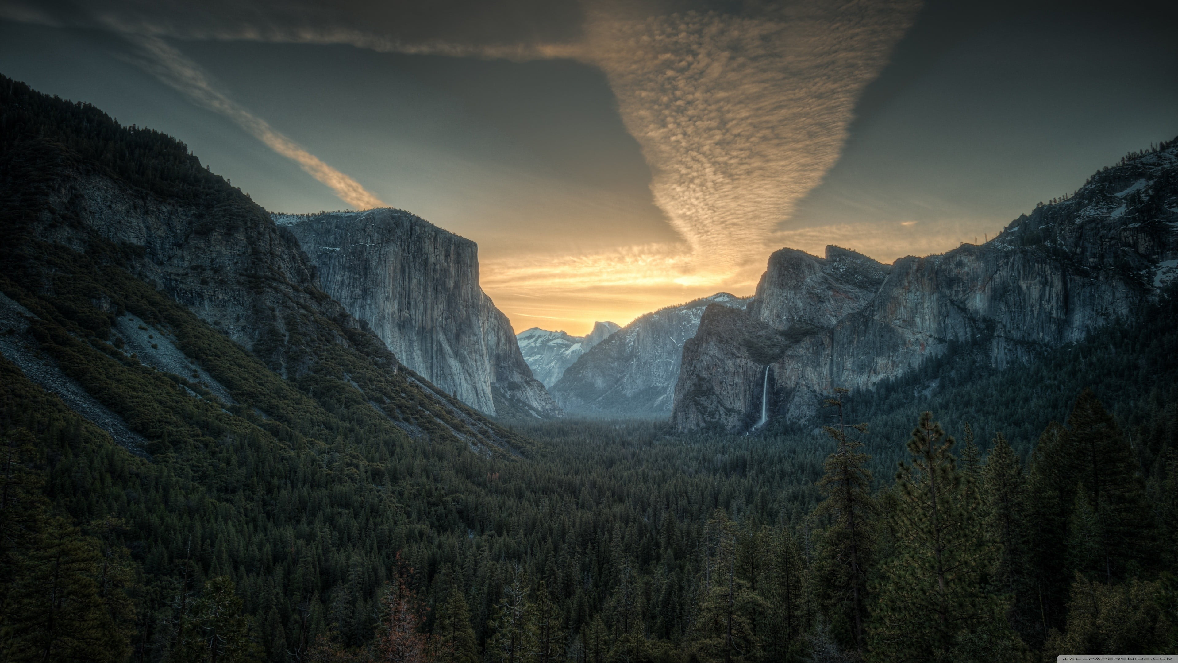 green pine forest mountains nature Yosemite National Park 2k 4k