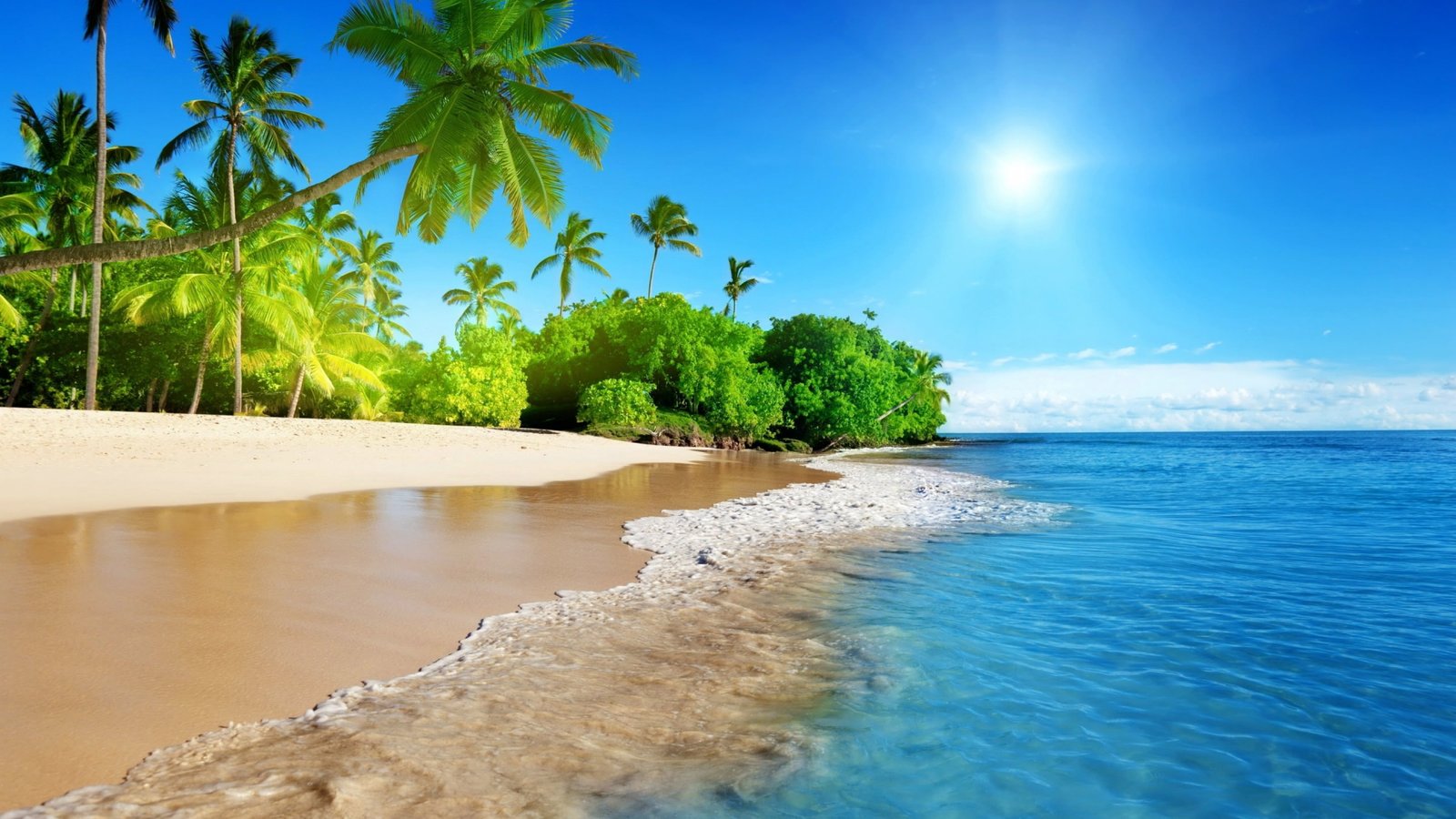 Hawaiian Beach Trees Palm Coast Ocean Waves Sandy Tropical Sun Blue Sky Ultra Hd Wallpaper 2k 4k
