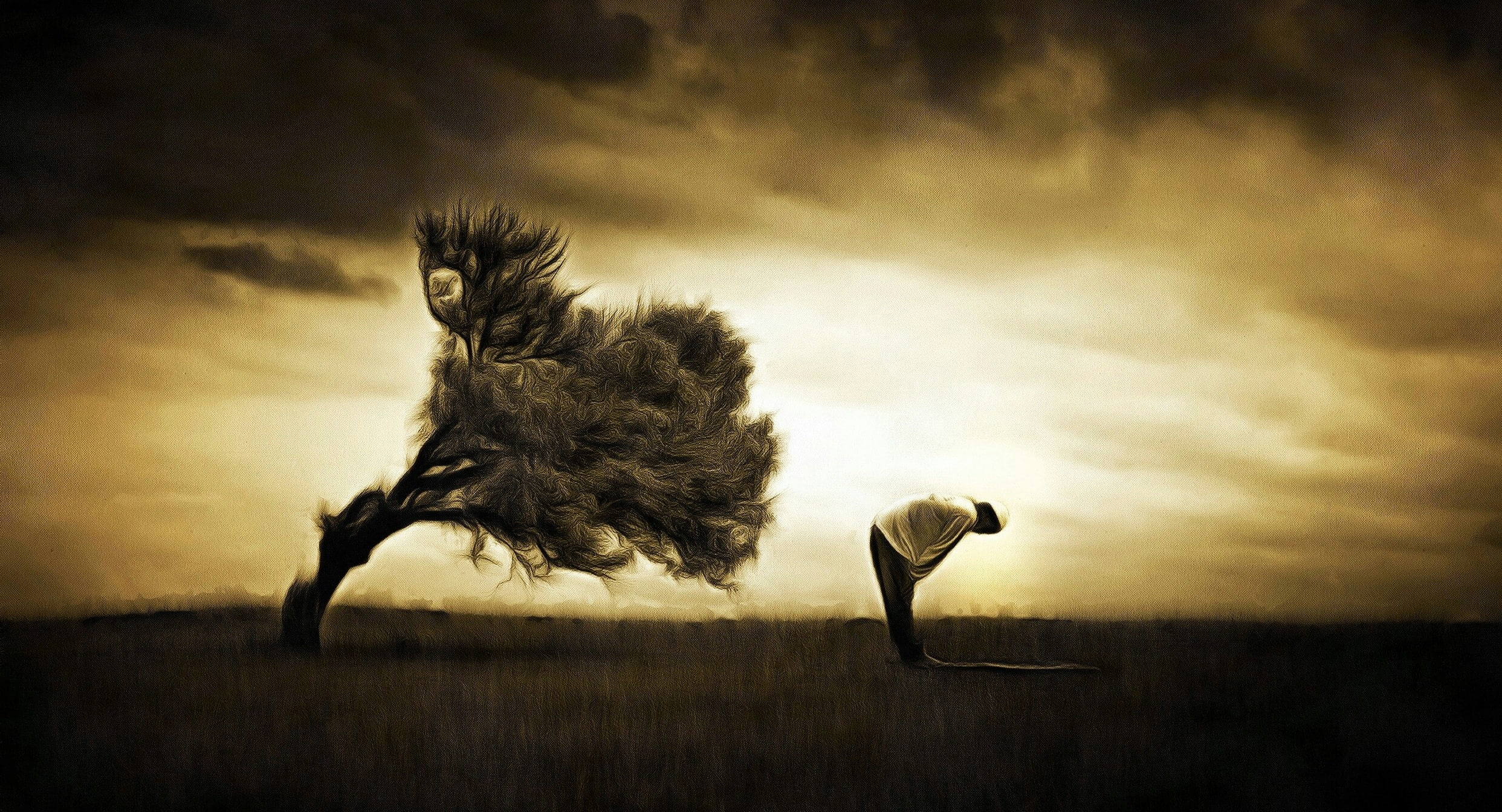 Islam nature Prayer 2k