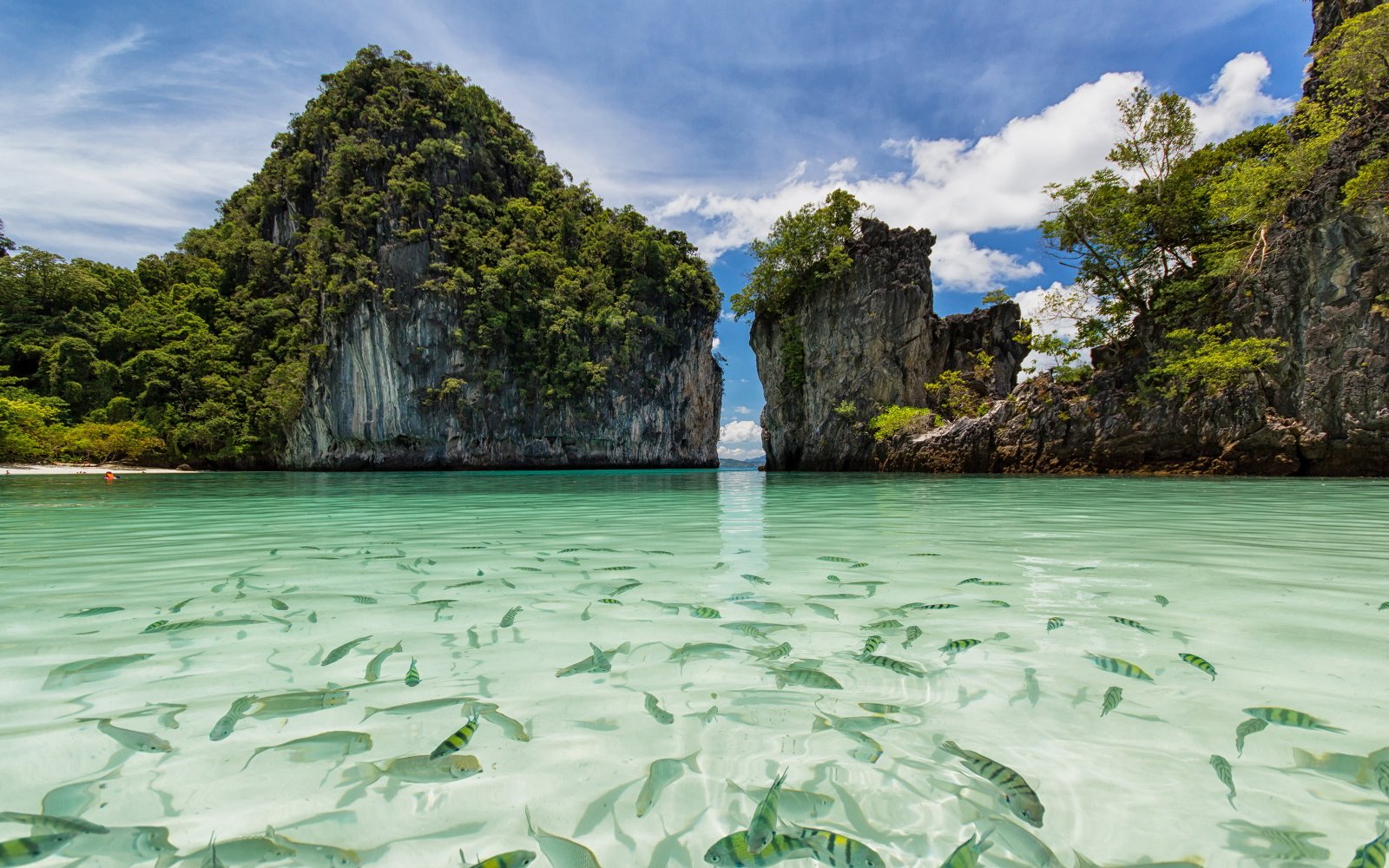 Koh Hong Island Thailand National Sea Park Beach At Krabi Transparent Water Exotic Fish Desktop Wallpaper 2k