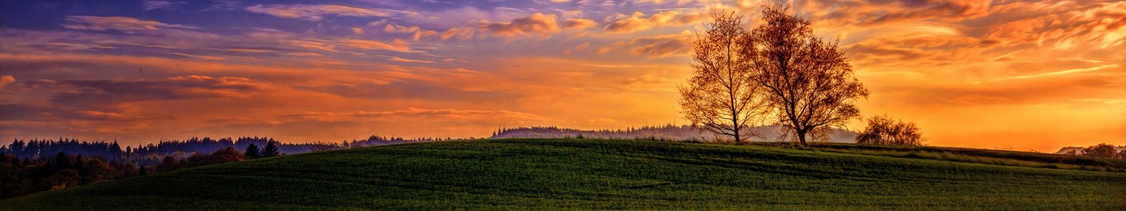 landscape triple screen sunset sky plant scenics nature 2k 4k 5k