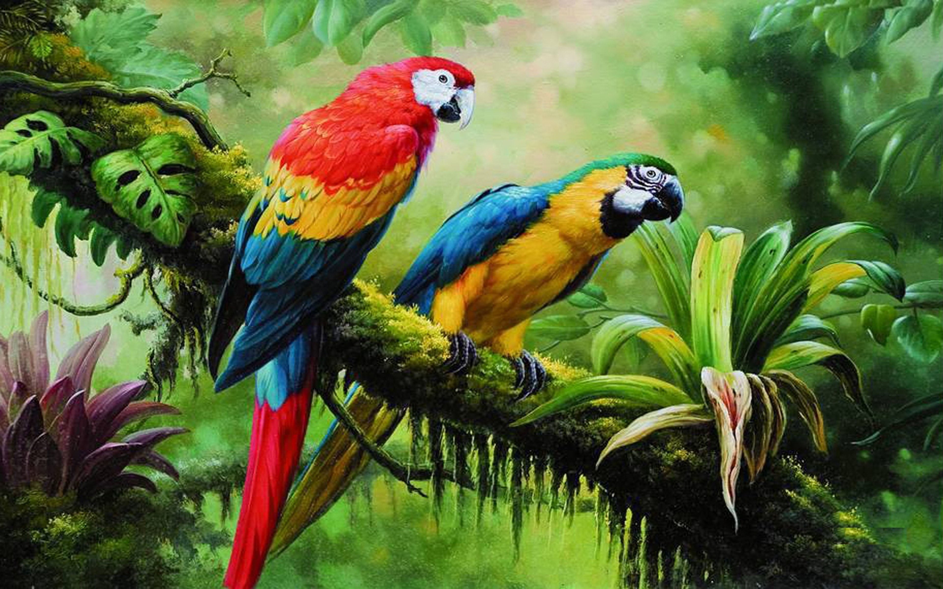 Macaw Parrot Wild Birds From Jungle Rainforest Swamp Green Dense Vegetation Art Photography On Branch Hd Wallpaper For Pc Tablet And Mobile 2k 4k